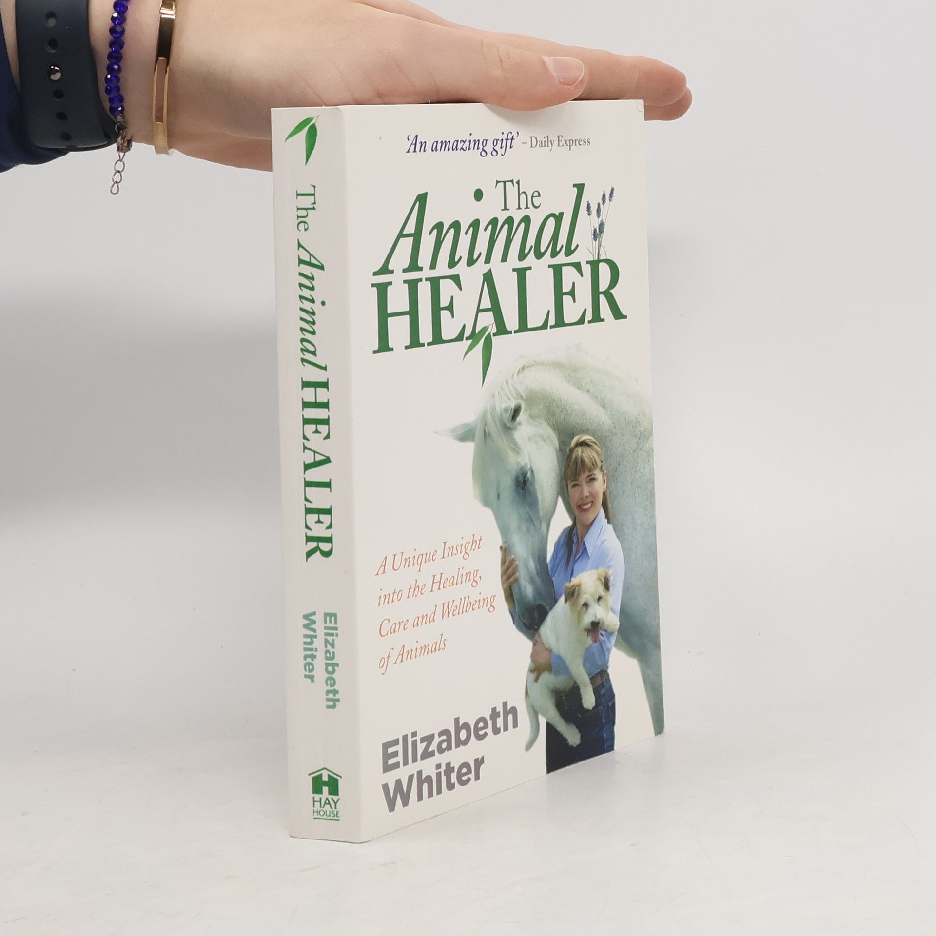 The Animal Healer