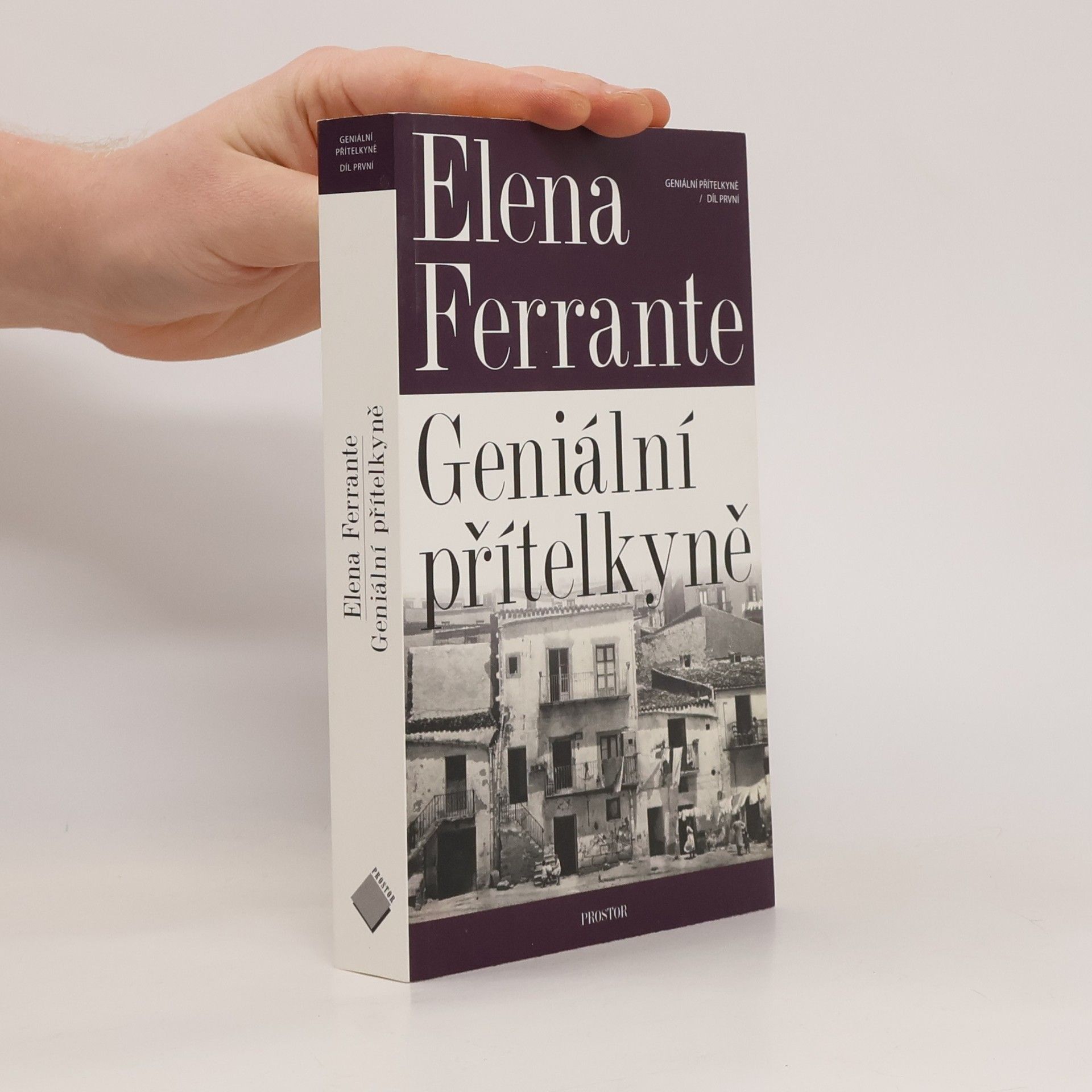 Geniální přítelkyně 1. Dětství a dospívání