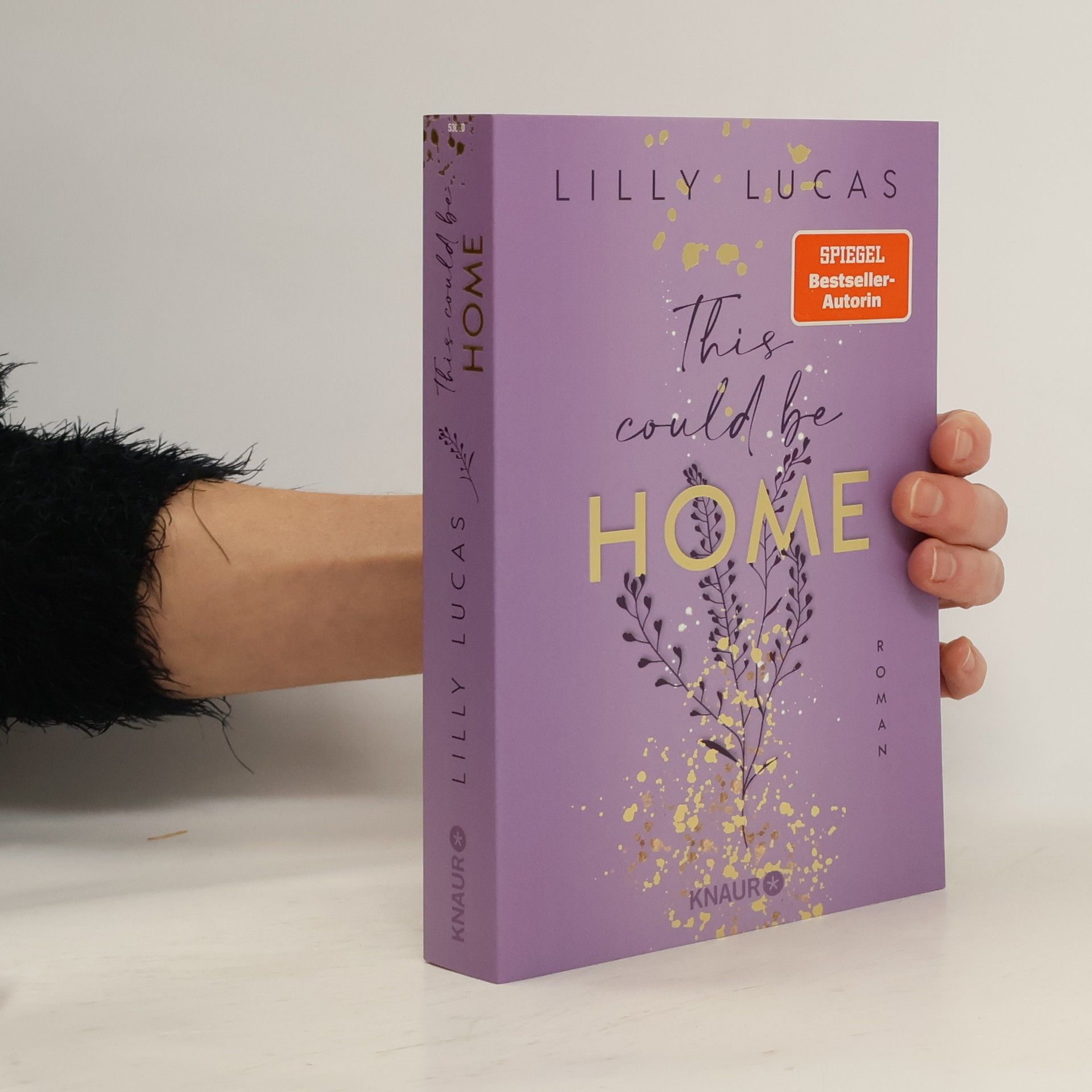 Lilly Lucas This could be home / Hawaii Love Bd.2