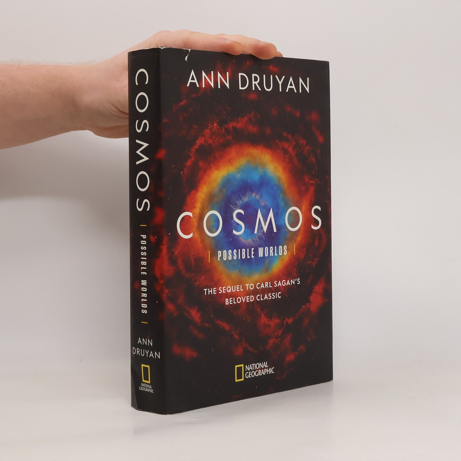 Cosmos. Possible Worlds