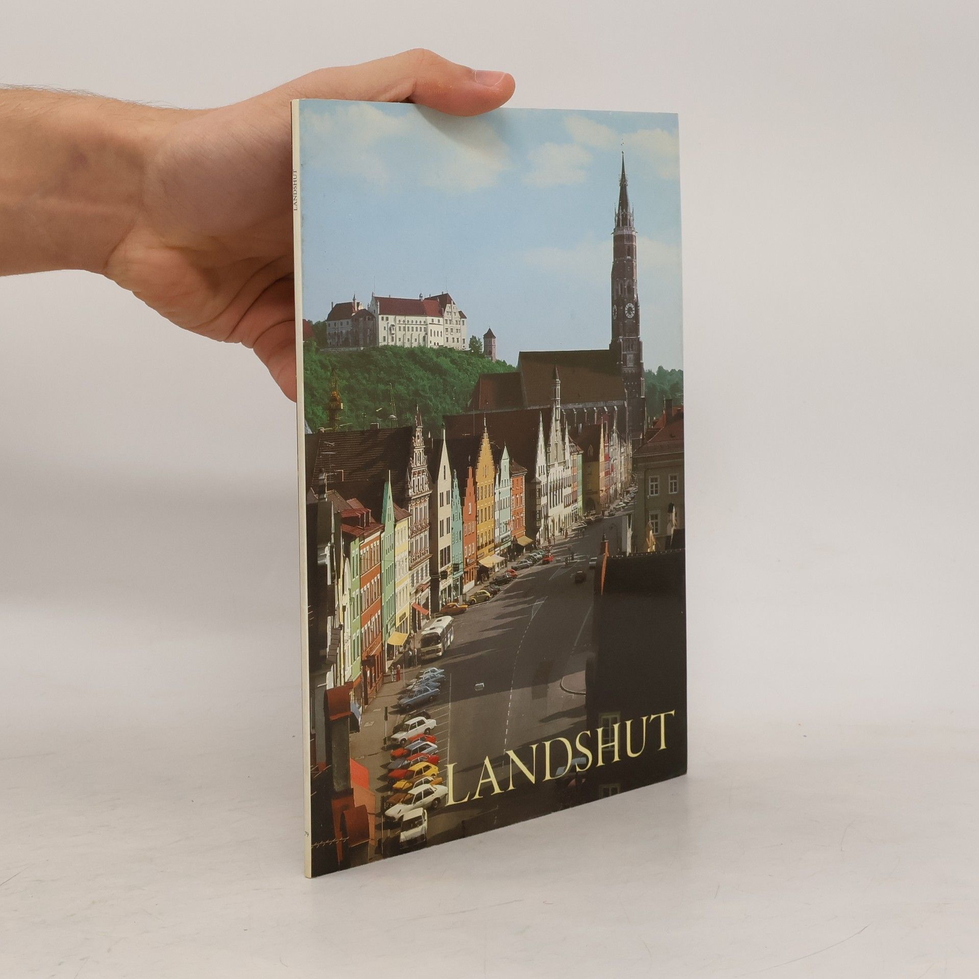 Große Kunstführer: Landshut