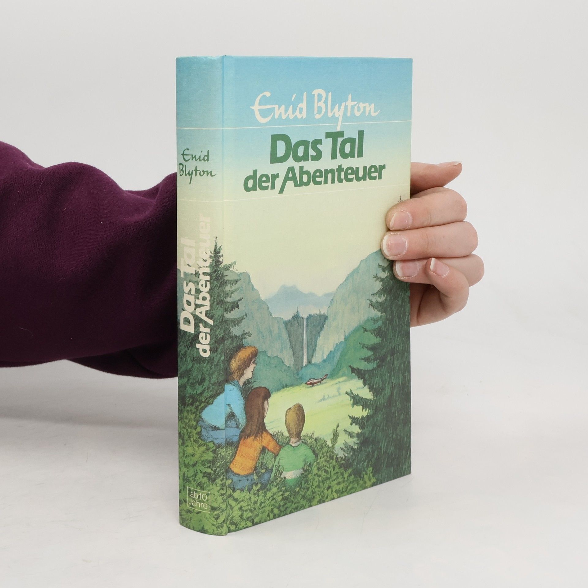 Enid Blyton Das Tal der Abenteuer