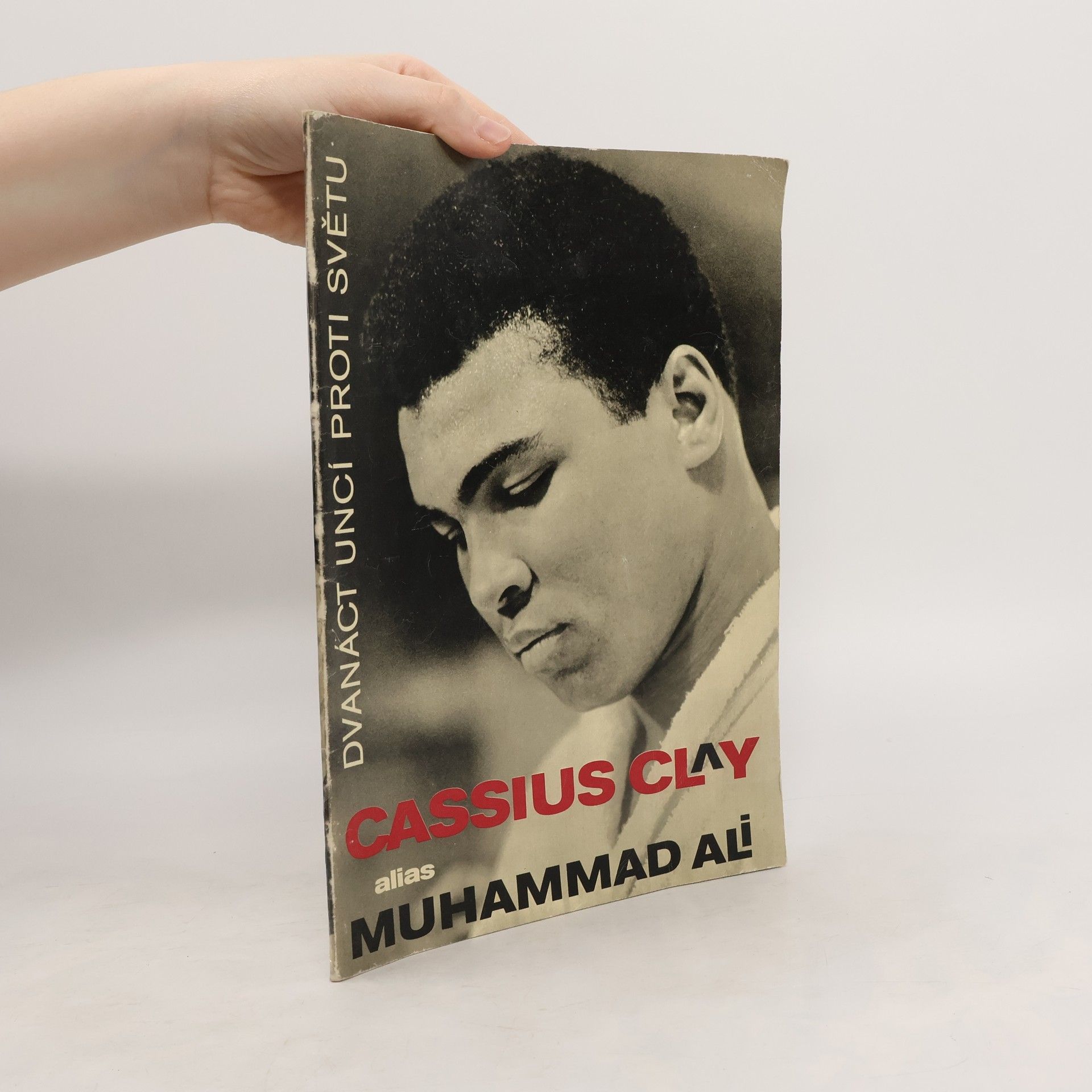 Cassius Clay alias Muhammad Ali : Dvanáct uncí proti světu