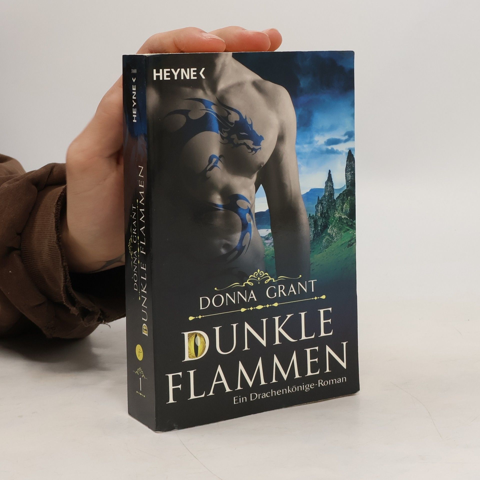 Donna Grant Dunkle Flammen