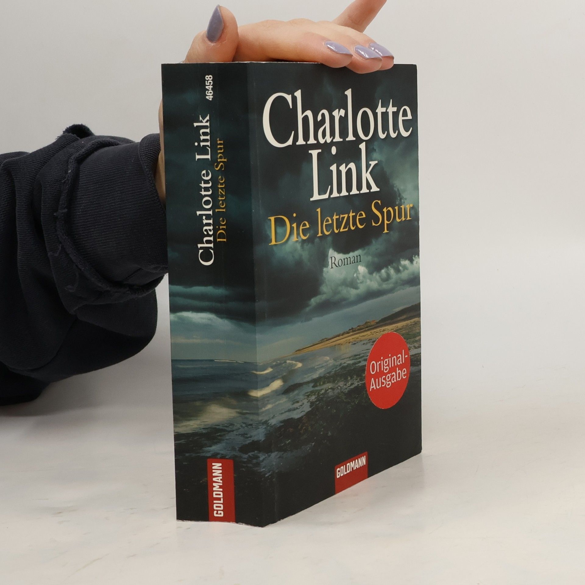 Charlotte Link Die letzte Spur