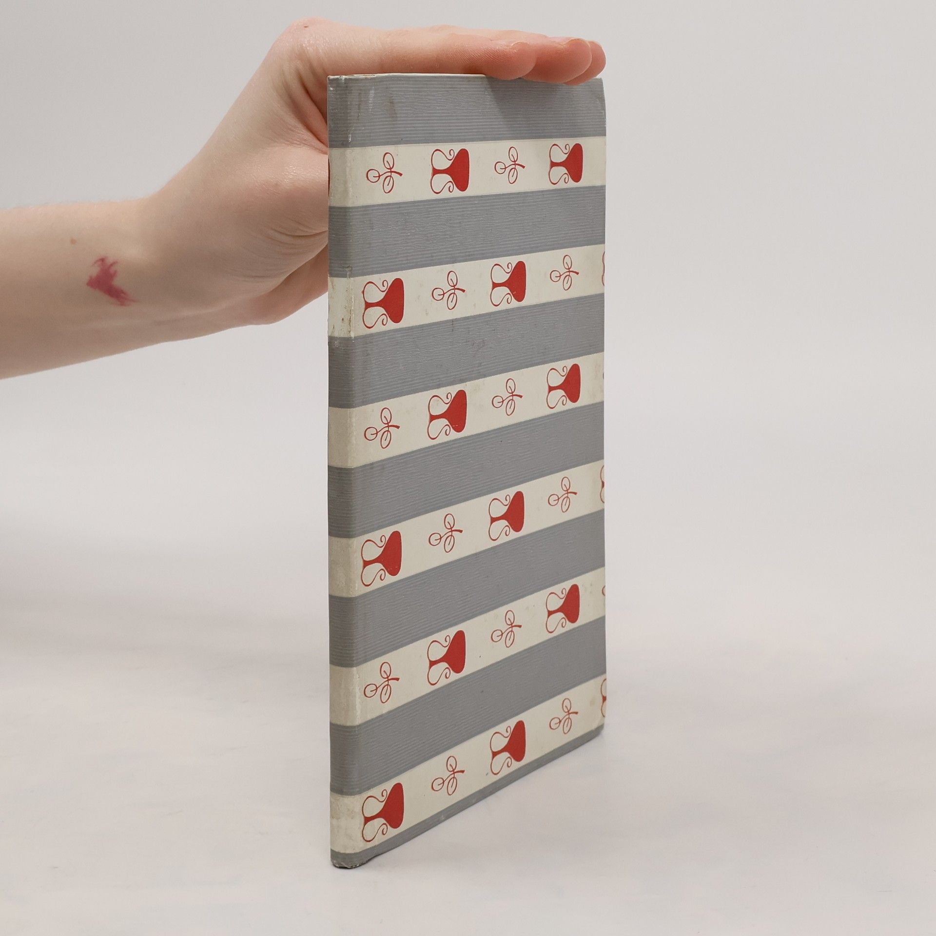 Autorenkollektiv Kleiner Katholischer Katechismus