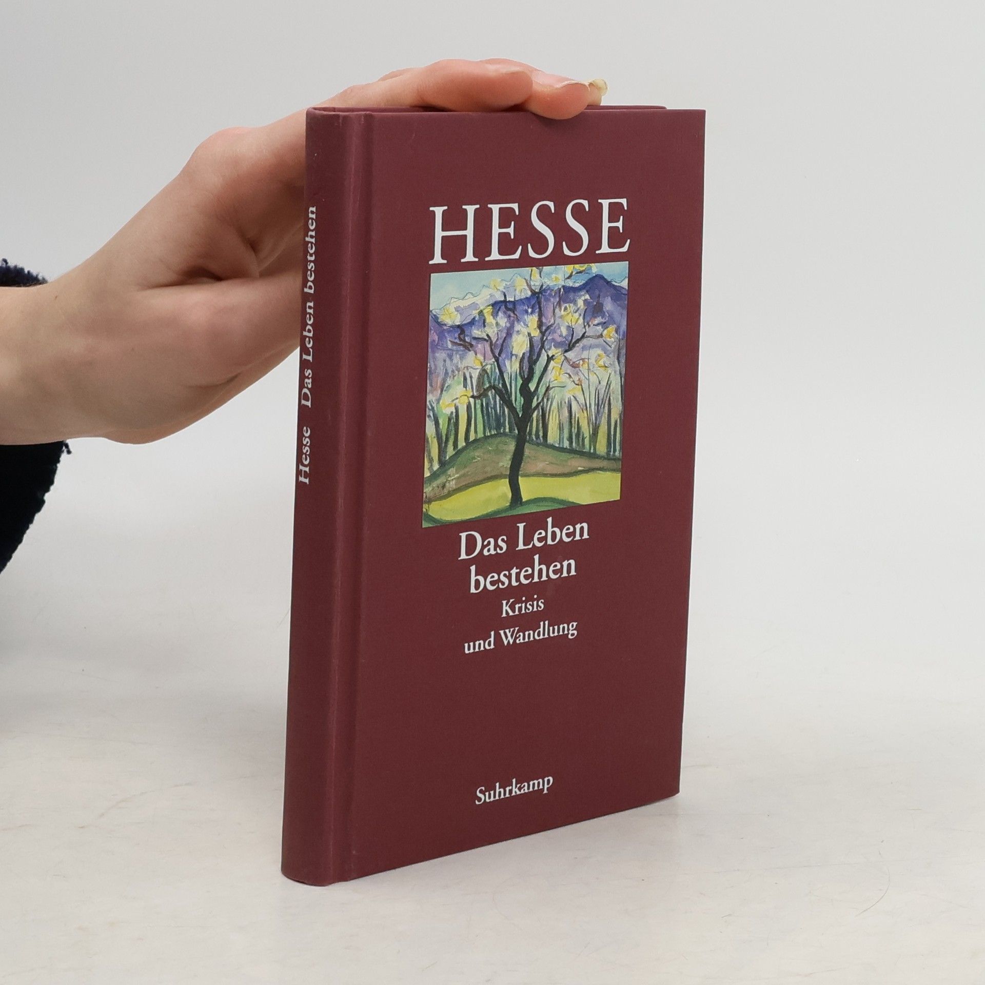 Hermann Hesse Die Hölle ist überwindbar
