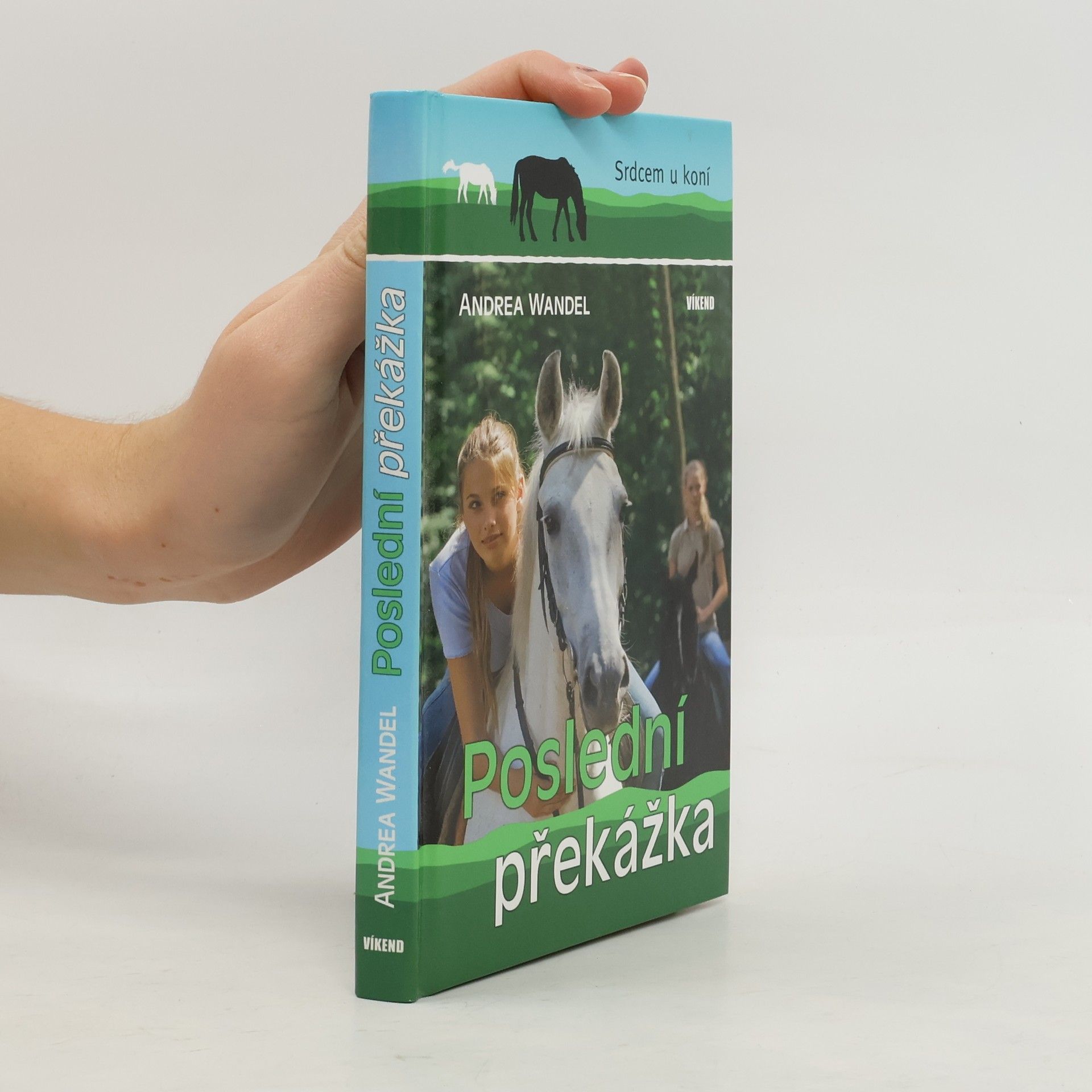 Andrea Wandel Poslední překážka