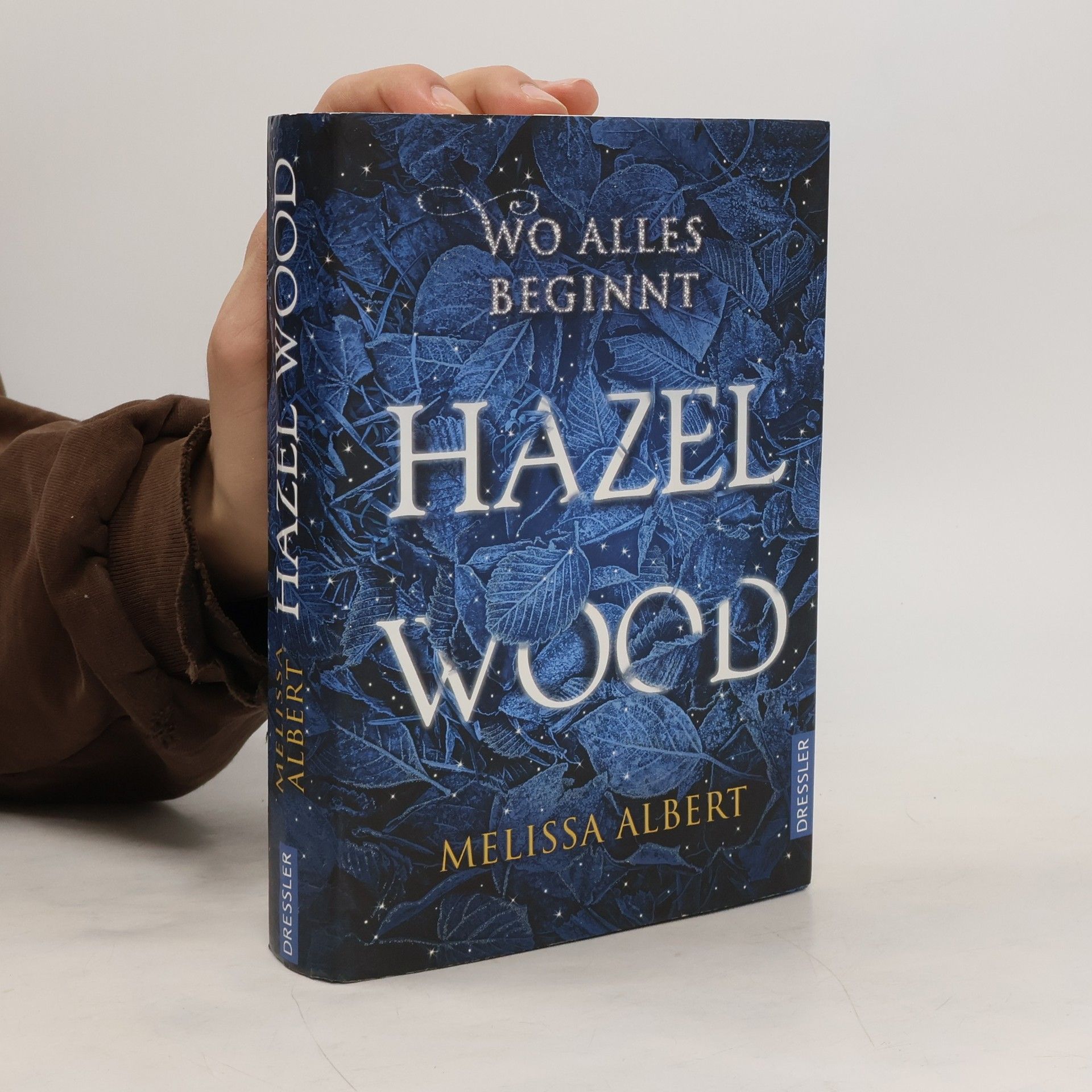 Hazel Wood: Wo alles beginnt