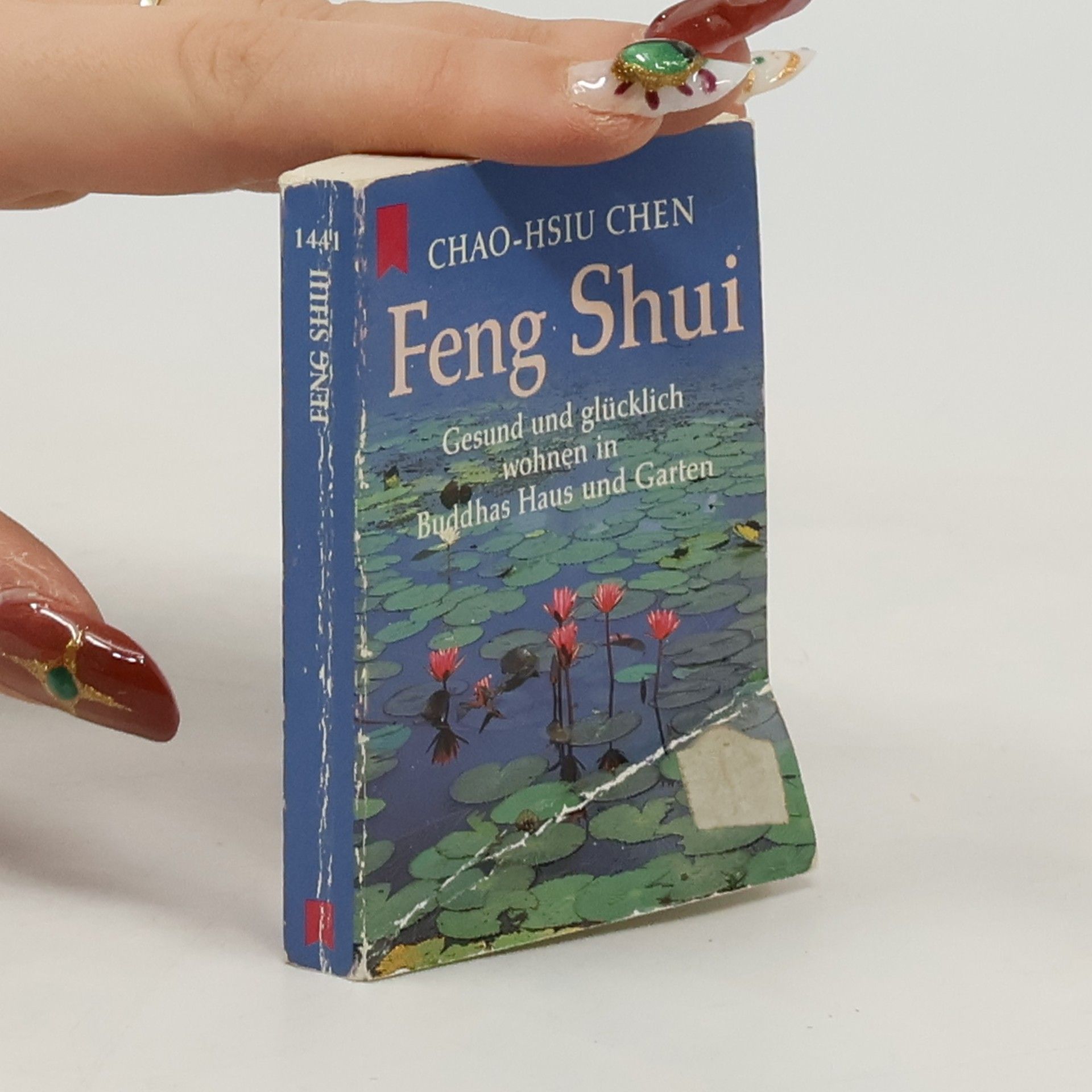 Chao Hsiu Chen Feng-shui