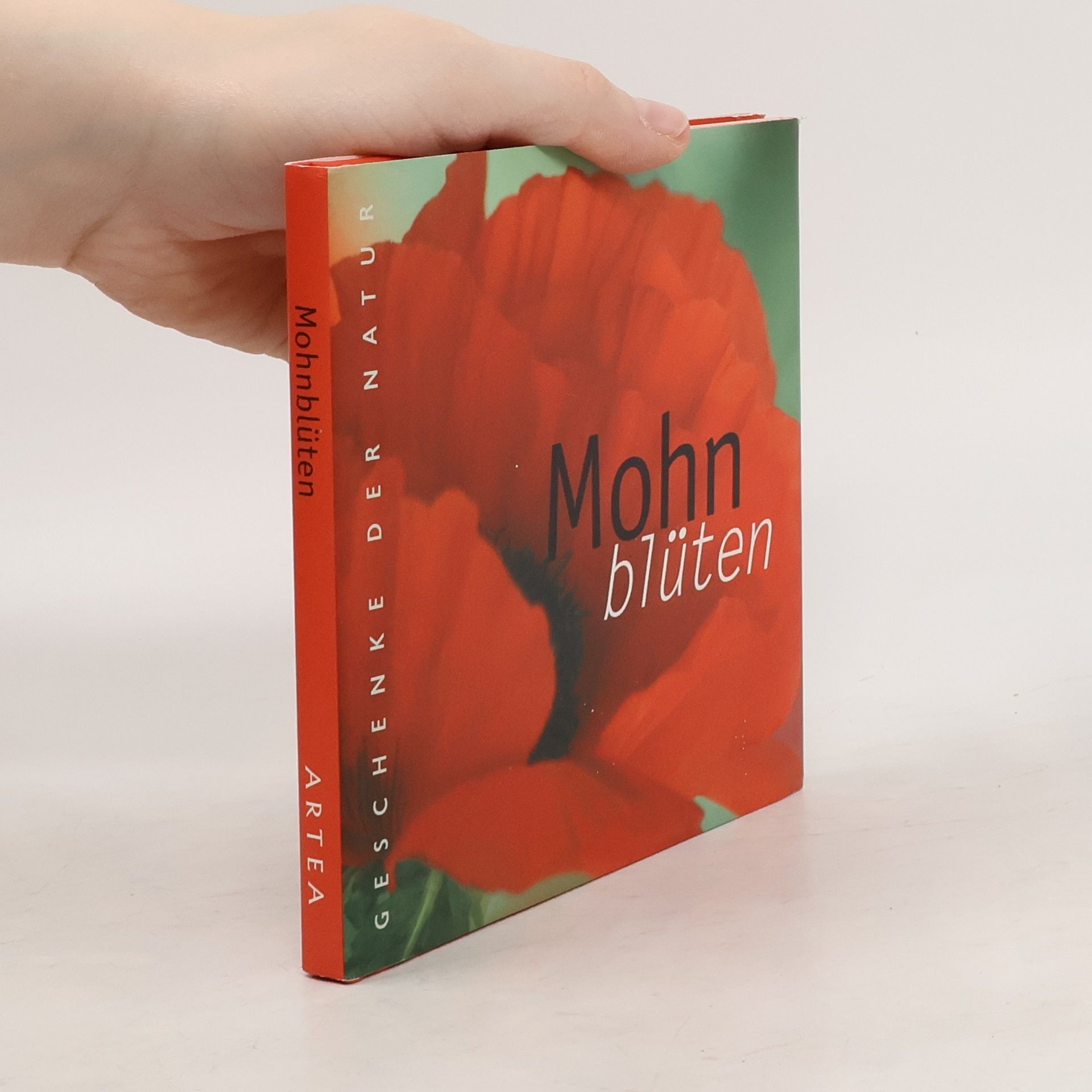 Gabriele Schiffer Mohnblüten