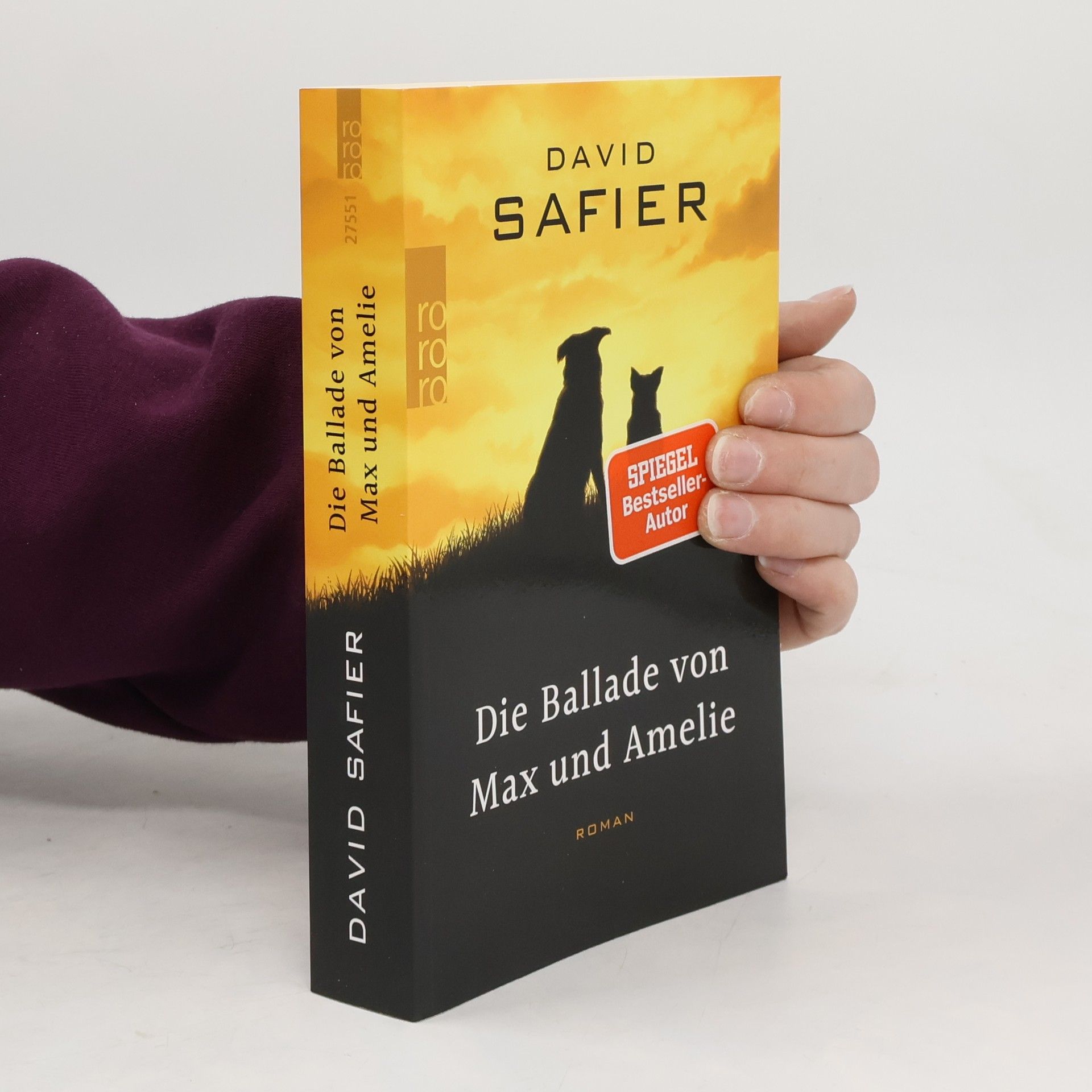 David Safier Die Ballade von Max und Amelie