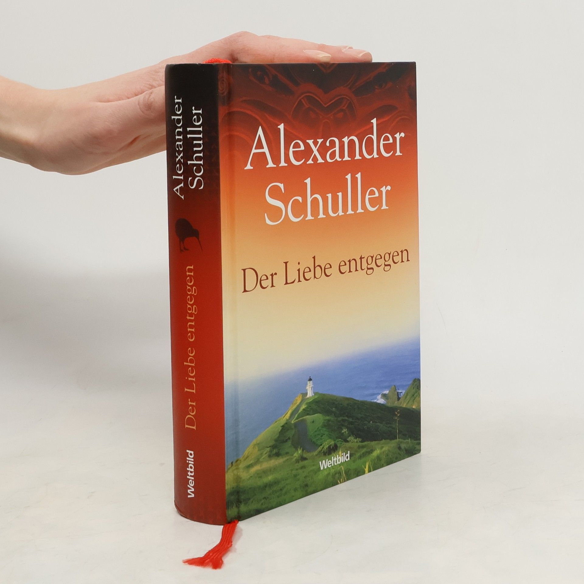 Alexander Schuller Der Liebe entgegen