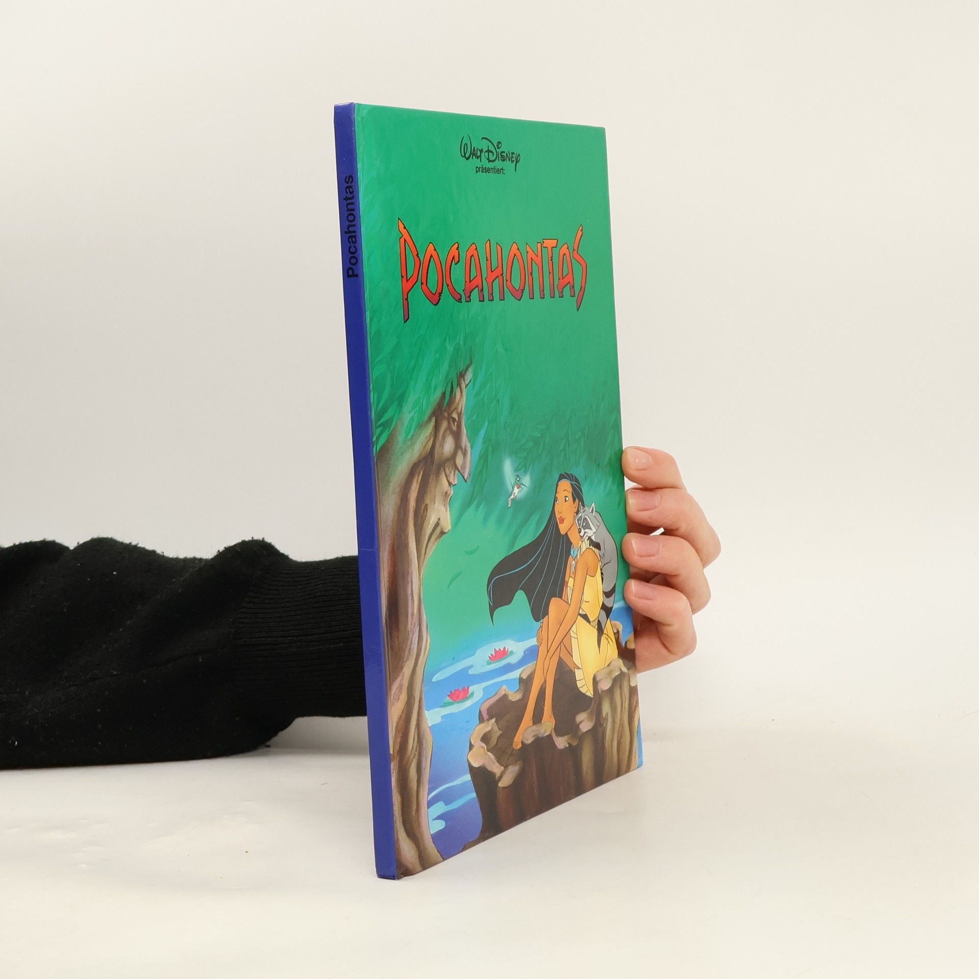 Kolektív autorov Pocahontas