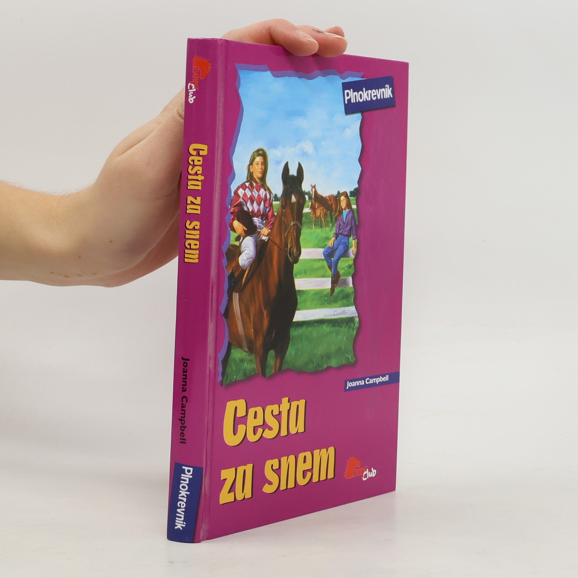 Jo Ann Simon Cesta za snem