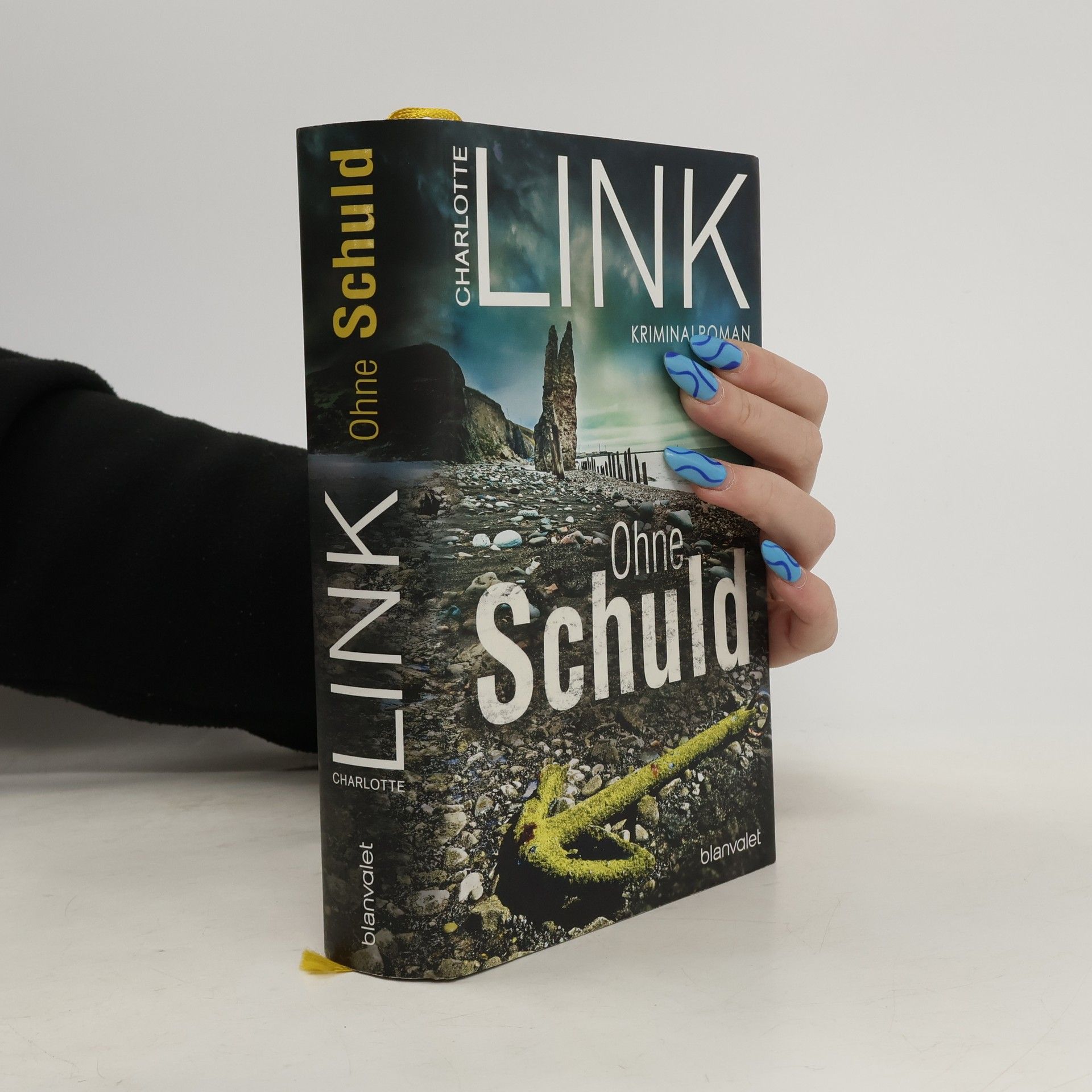 Charlotte Link Ohne Schuld