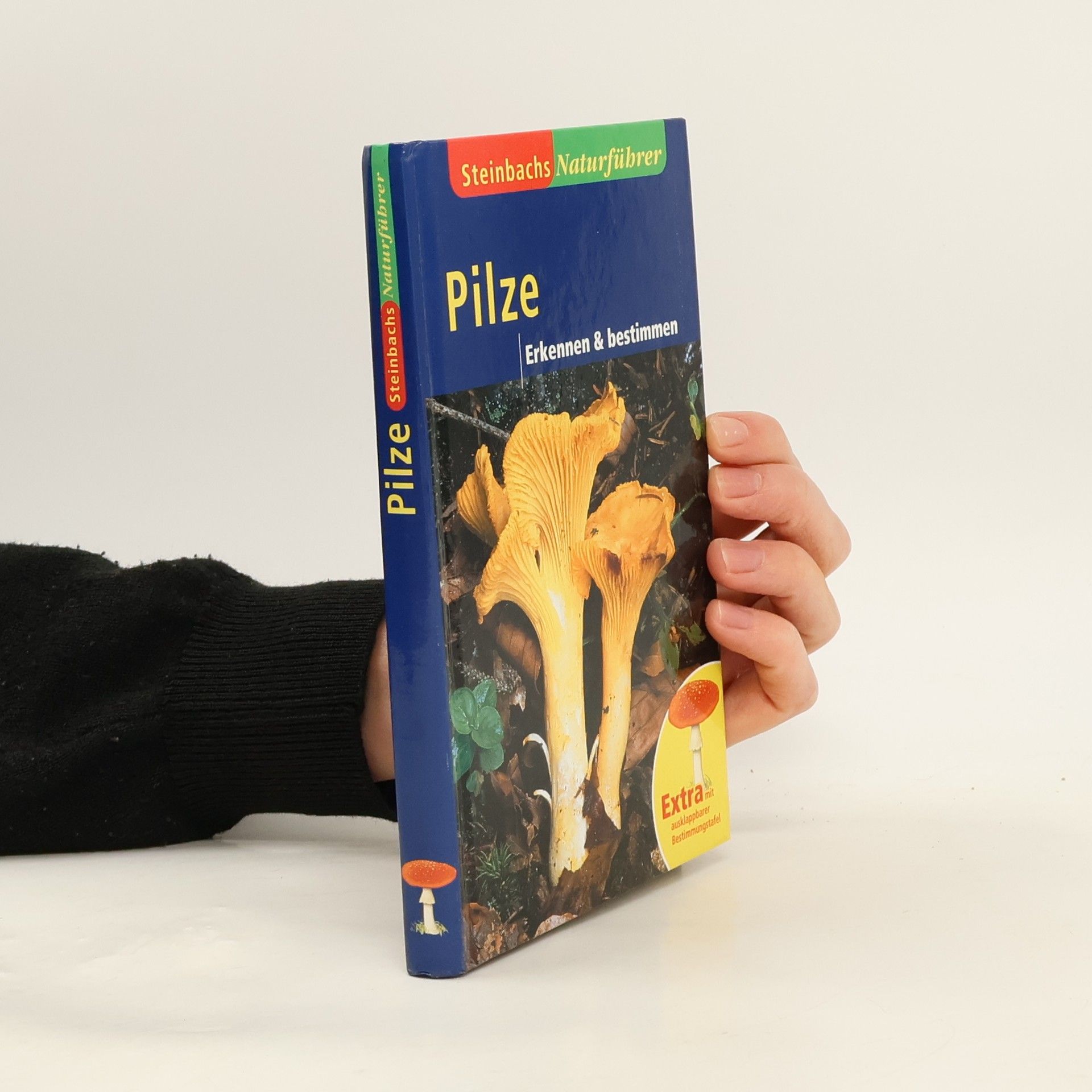 Autorenkollektiv Pilze