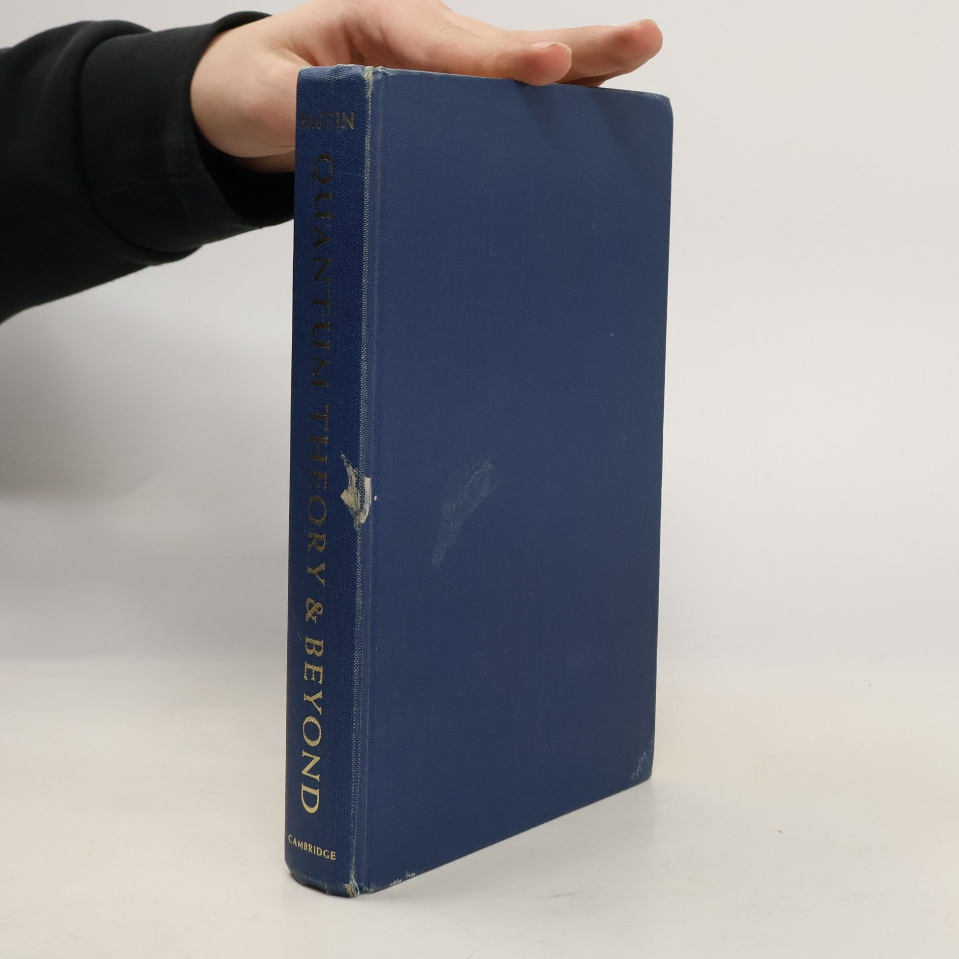 Ted Bastin Quantum Theory and Beyond