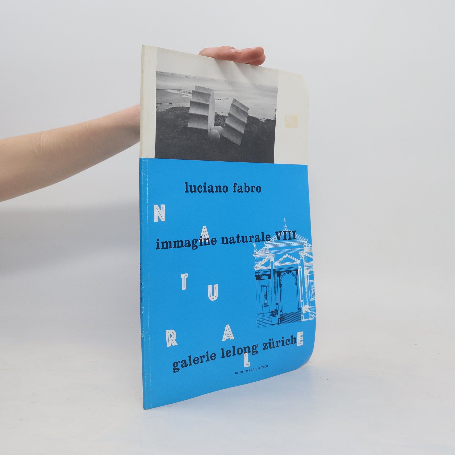 Various authors Luciano Fabro