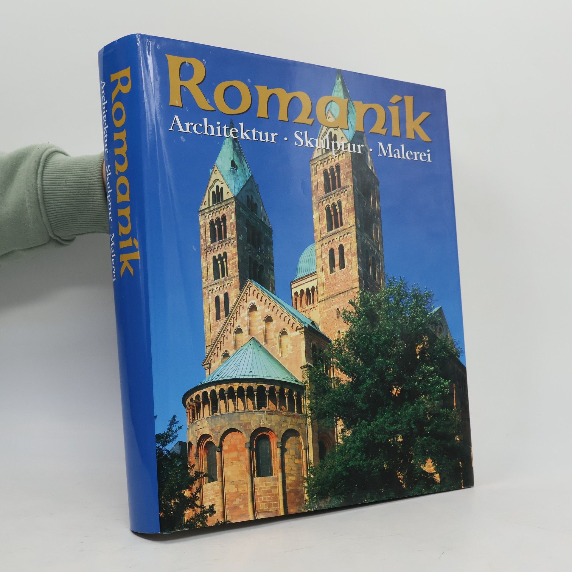 Collectif d'auteurs Romanik. Architektur. Skulptur. Malerei