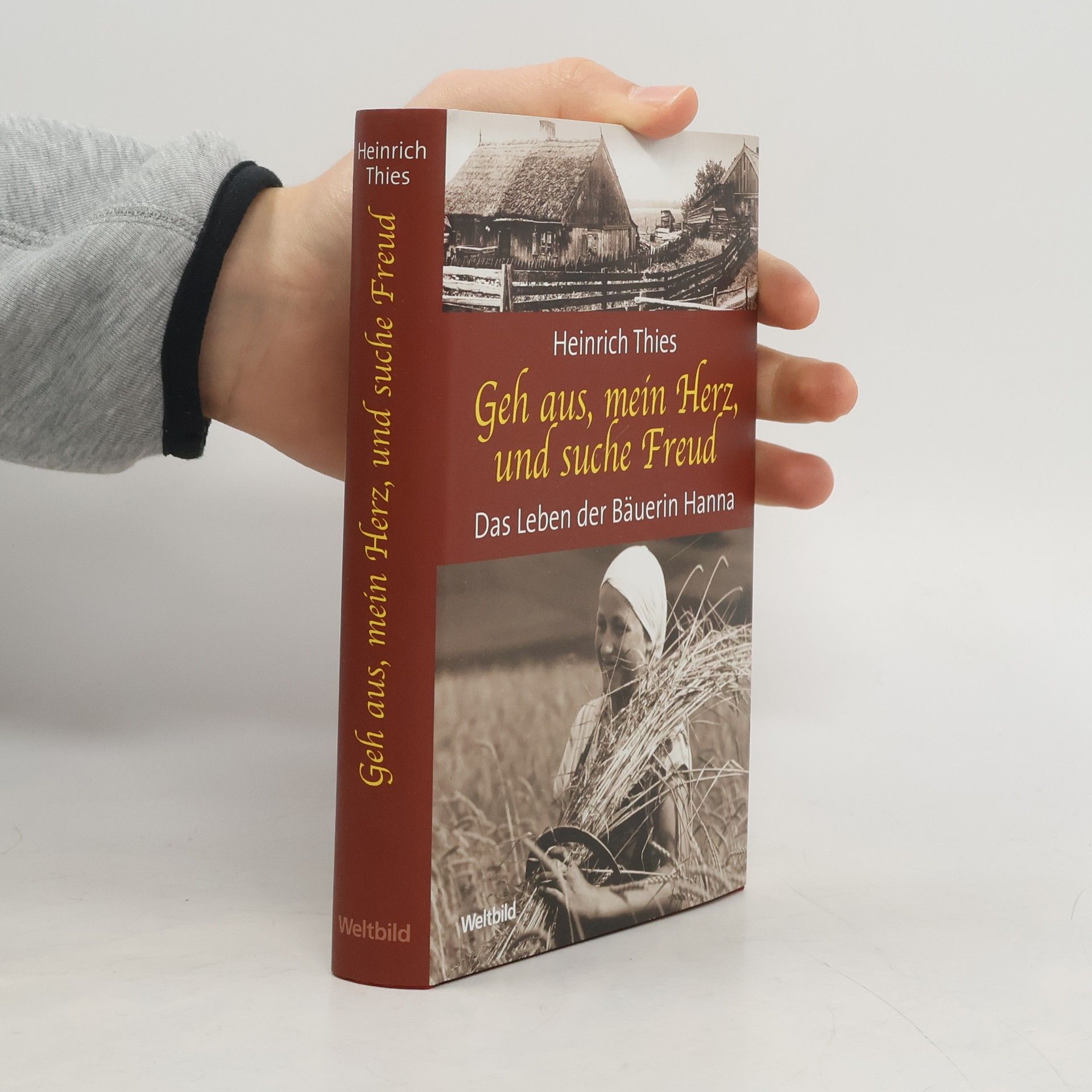 Heinrich Thies Geh aus, mein Herz, und suche Freud