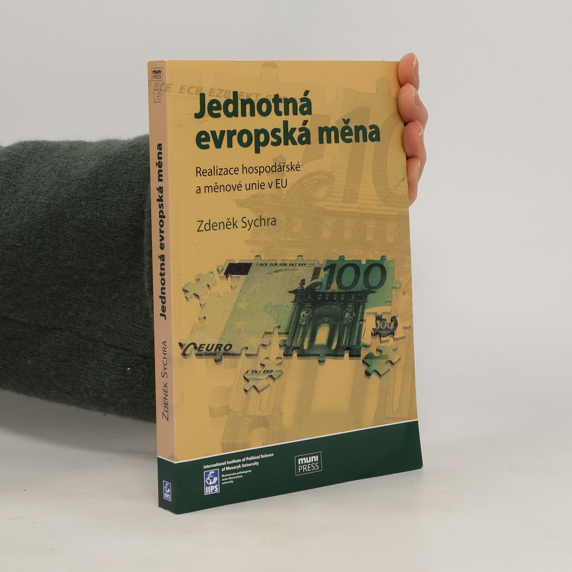 Zdeněk Sychra Jednotná evropská měna, realizace hospodářské a měnové unie v EU