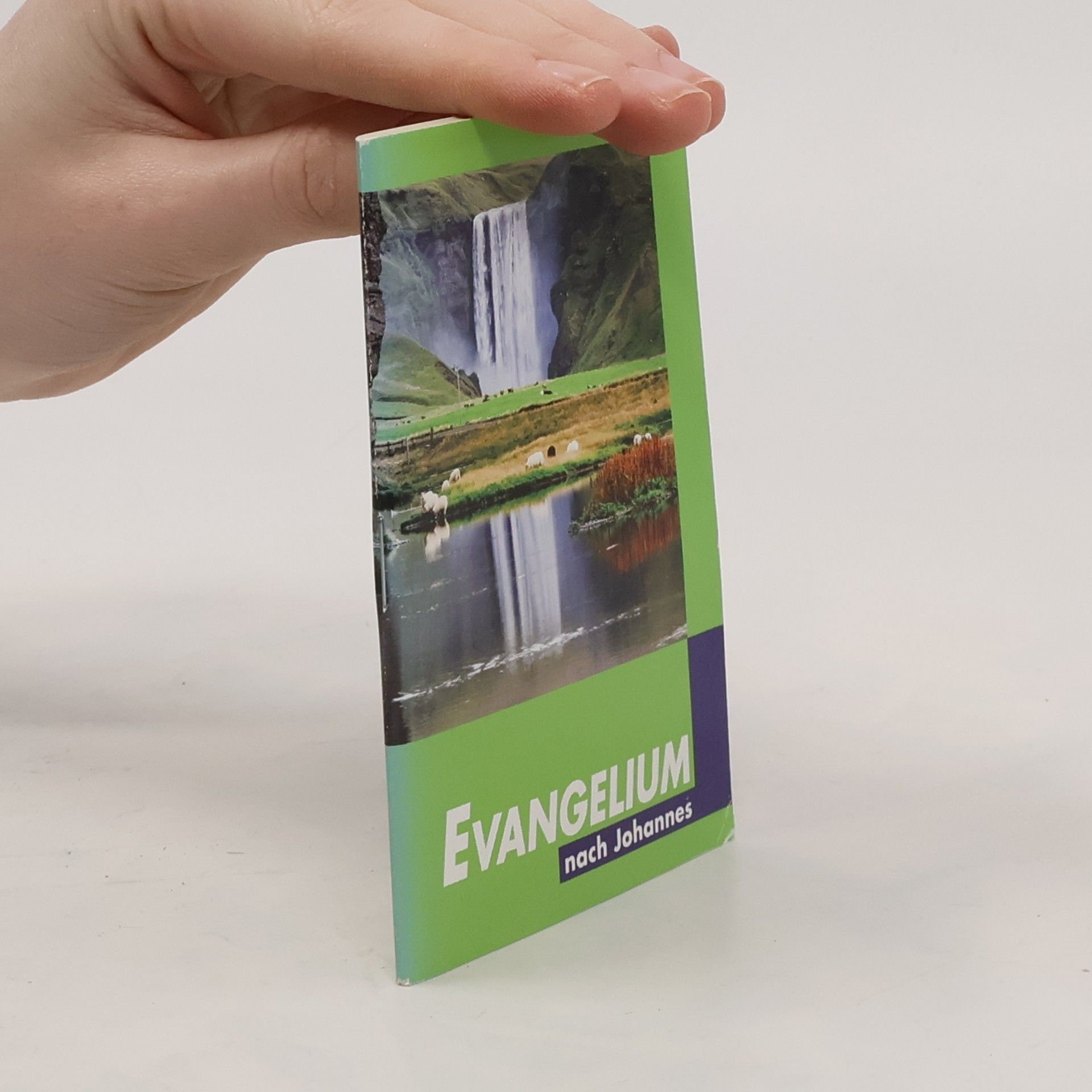 Collectif d'auteurs Evangelium nach Johannes