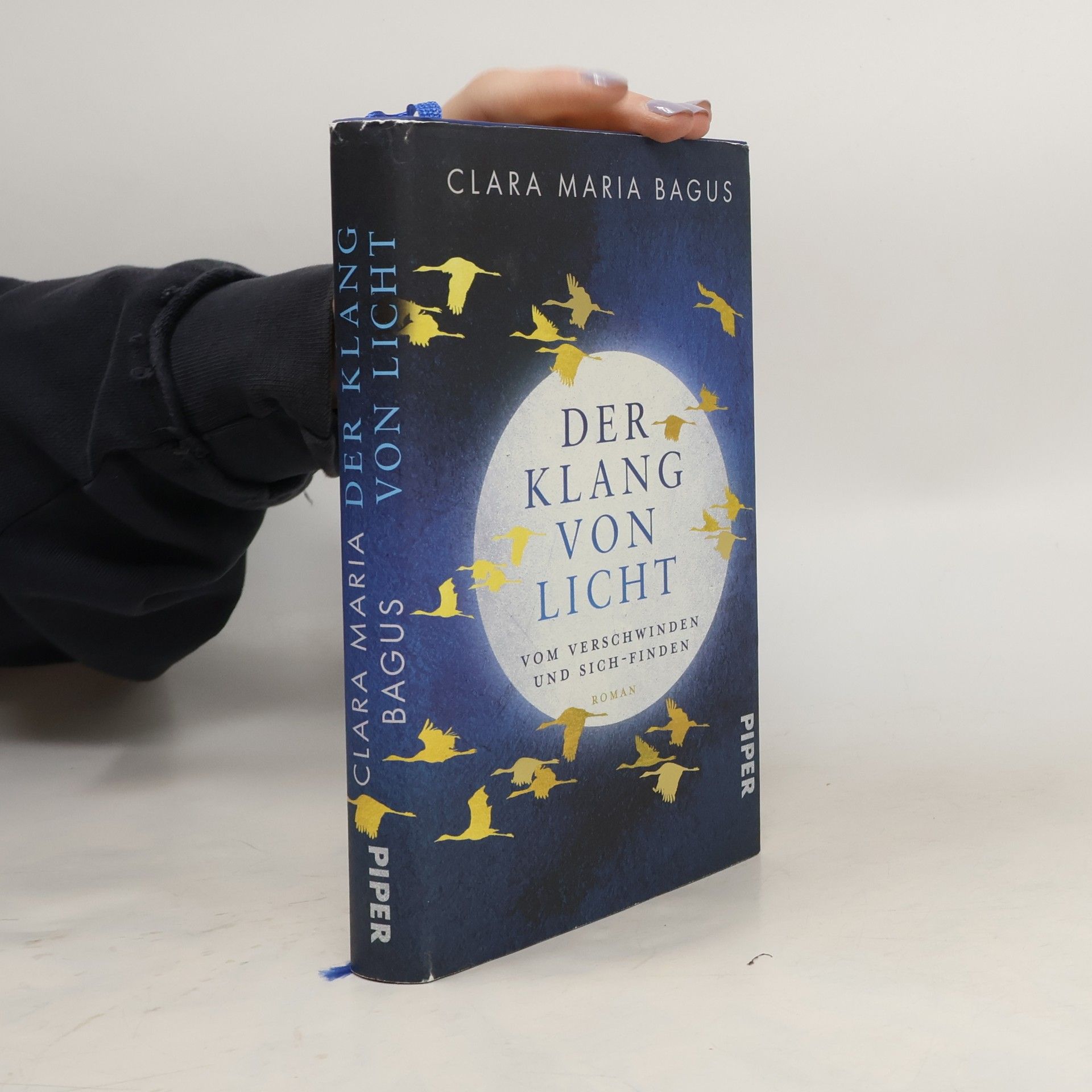 Clara Maria Bagus Der Klang von Licht