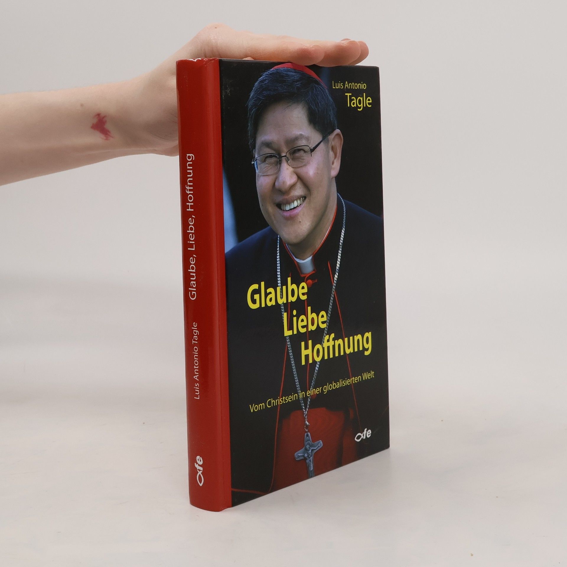 Luis Antonio Tagle Glaube, Liebe, Hoffnung