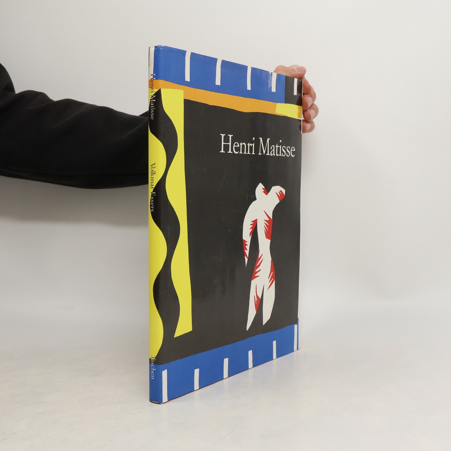 Henri Matisse 1869-1954 : Meister der Farbe