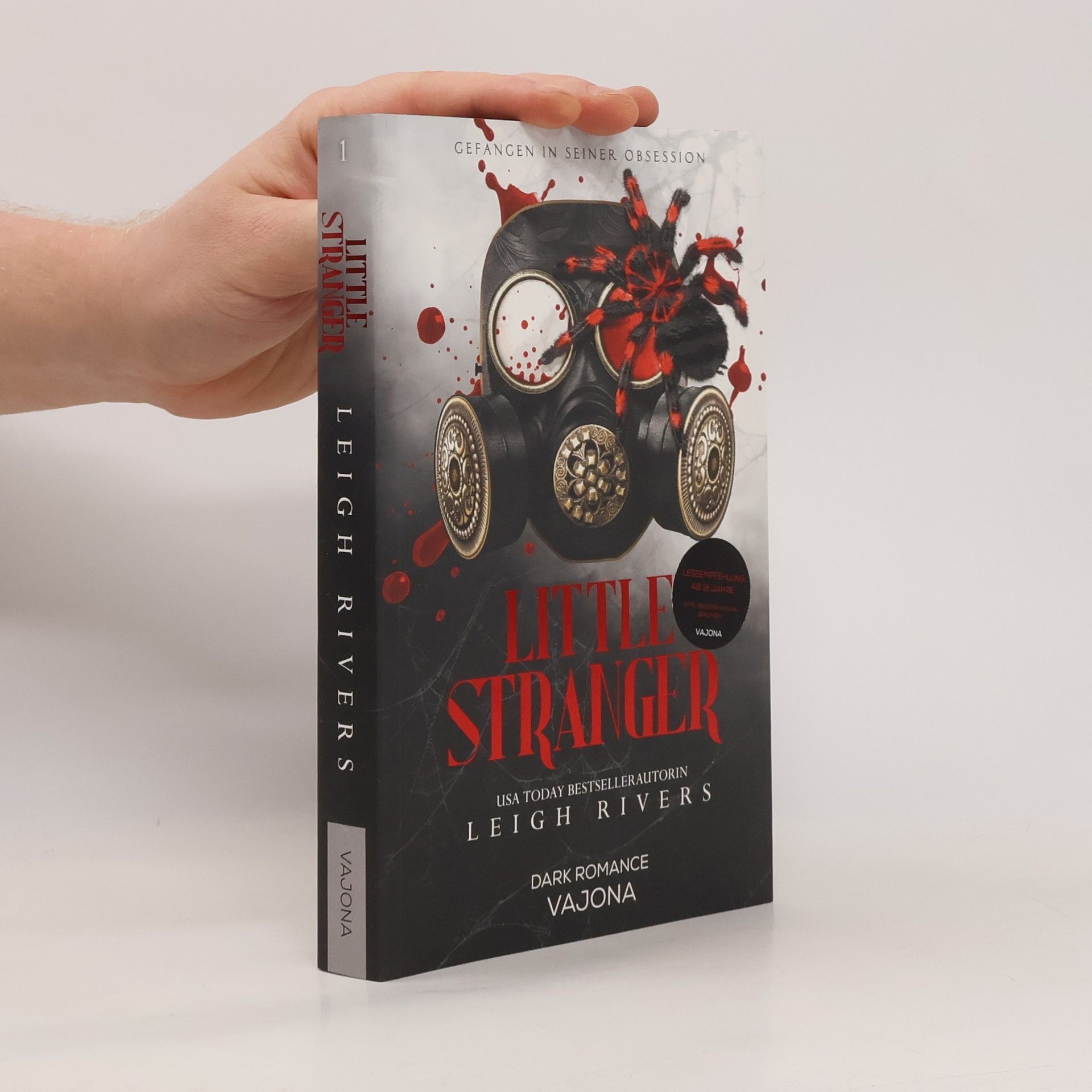 Leigh Rivers Little Stranger