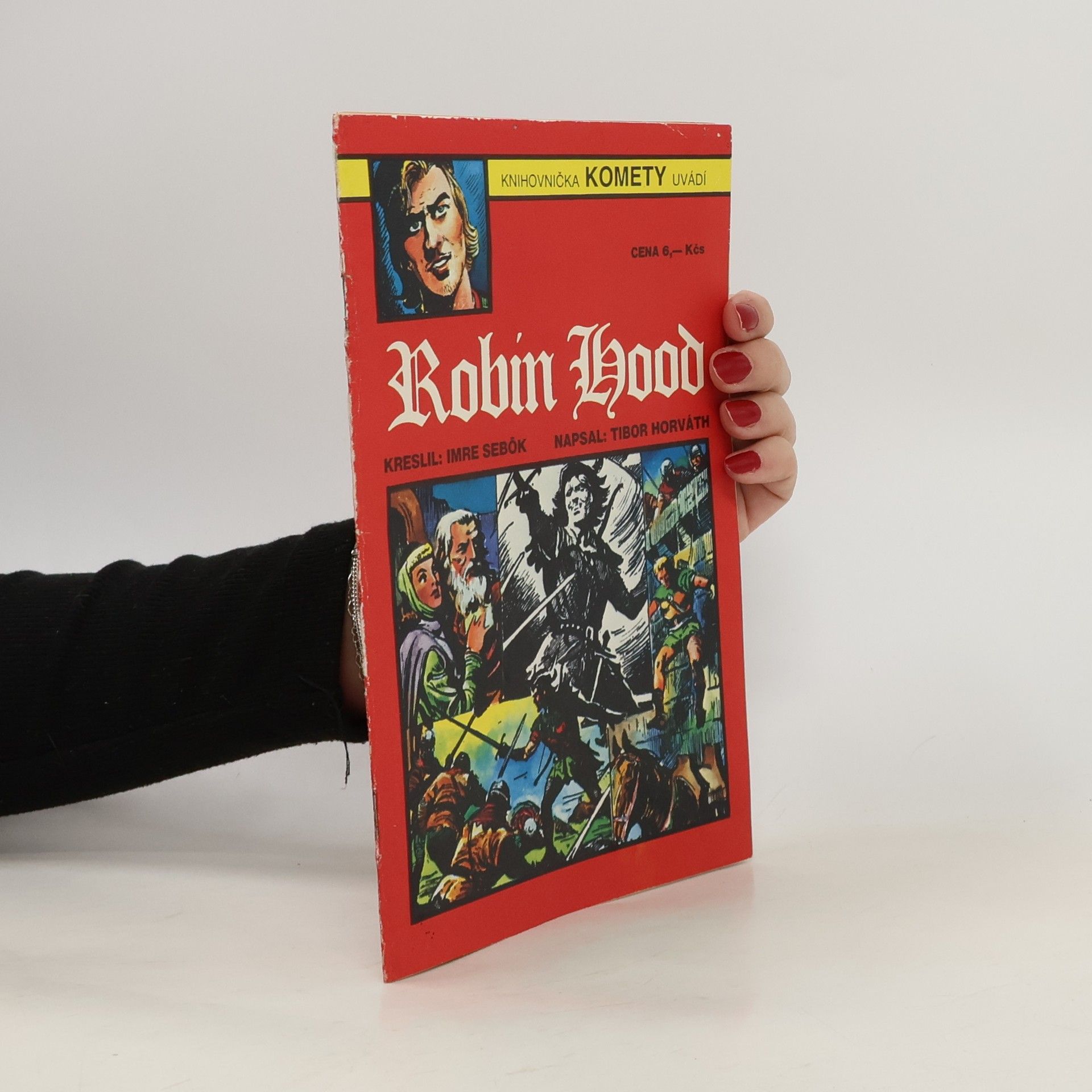Knihovnička Komety #1: Robin Hood