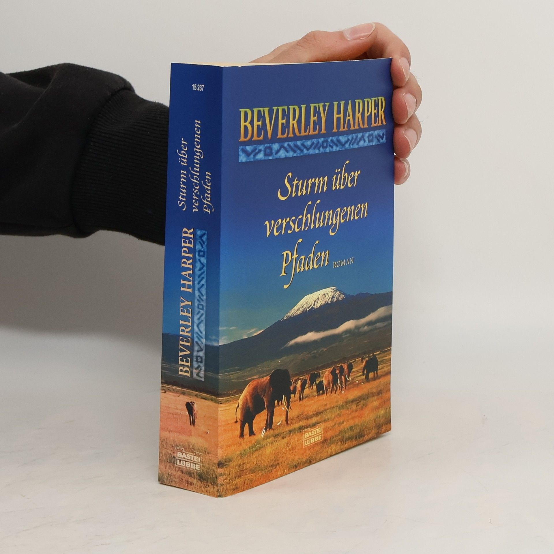 Beverley Harper Sturm über verschlungenen Pfaden