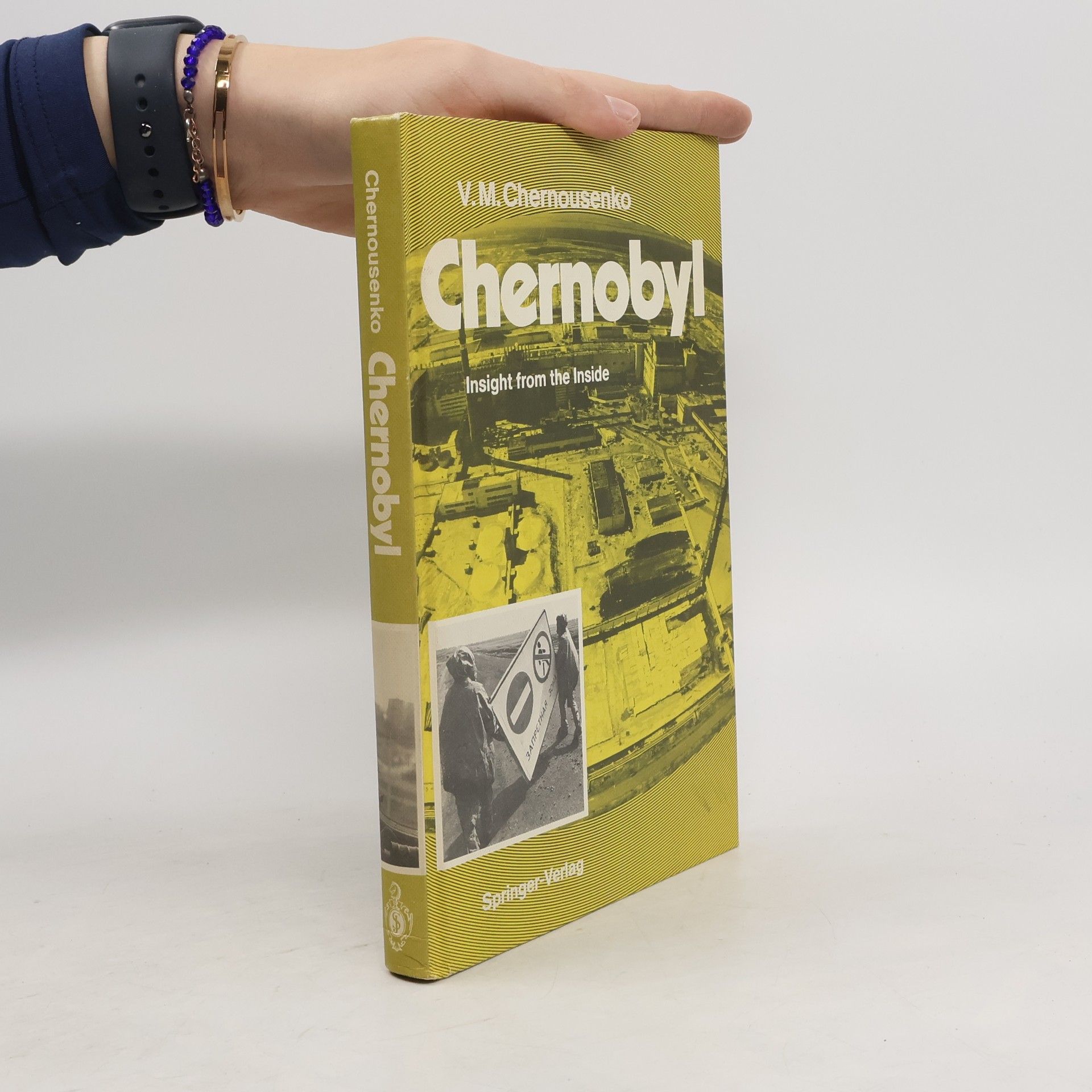 Vladimir M. Chernousenko Chernobyl. Insight from the inside