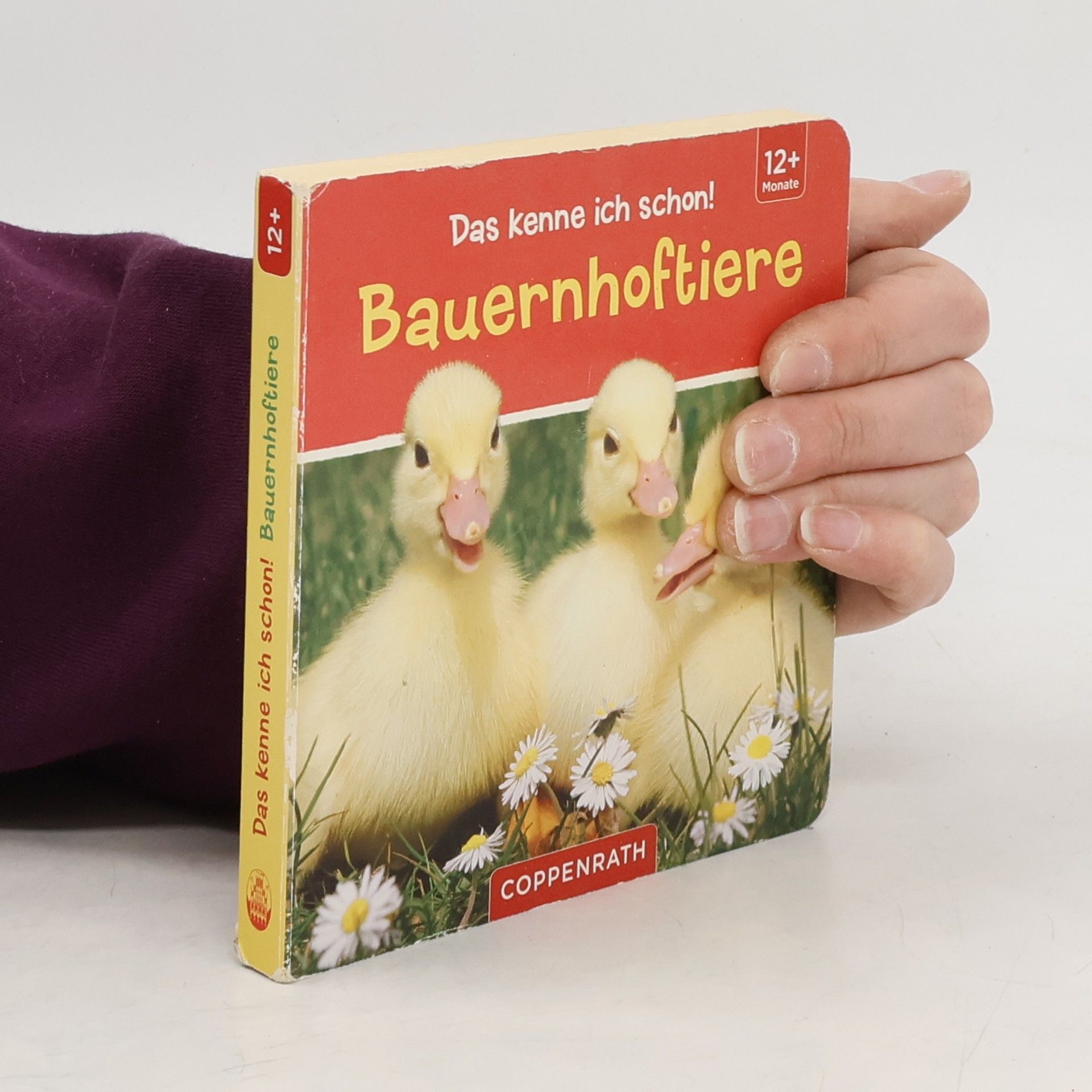 Kolektiv autorů Das kenne ich schon!: Bauernhoftiere