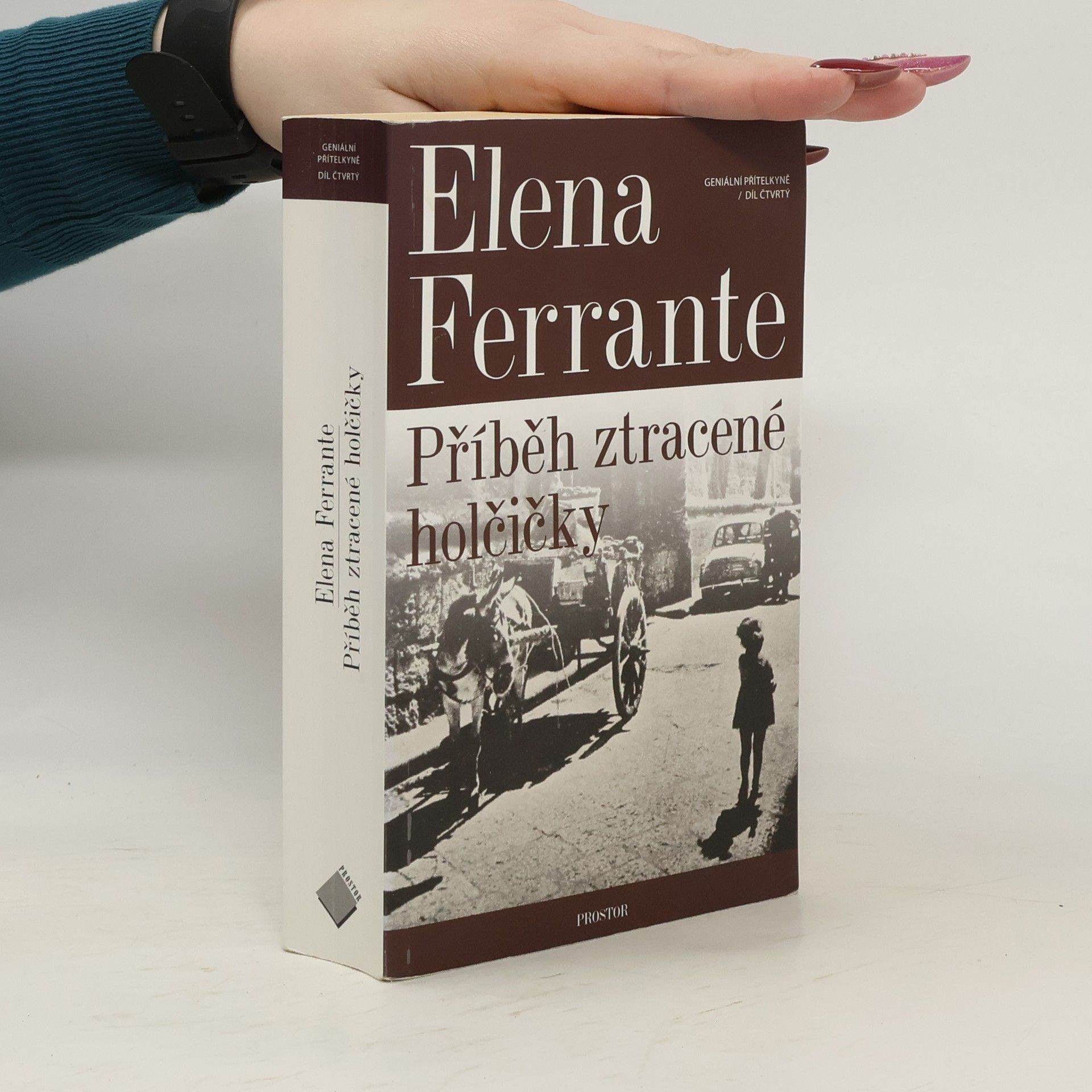 Elena Ferrante Příběh ztracené holčičky. Geniální přítelkyně. 4. díl