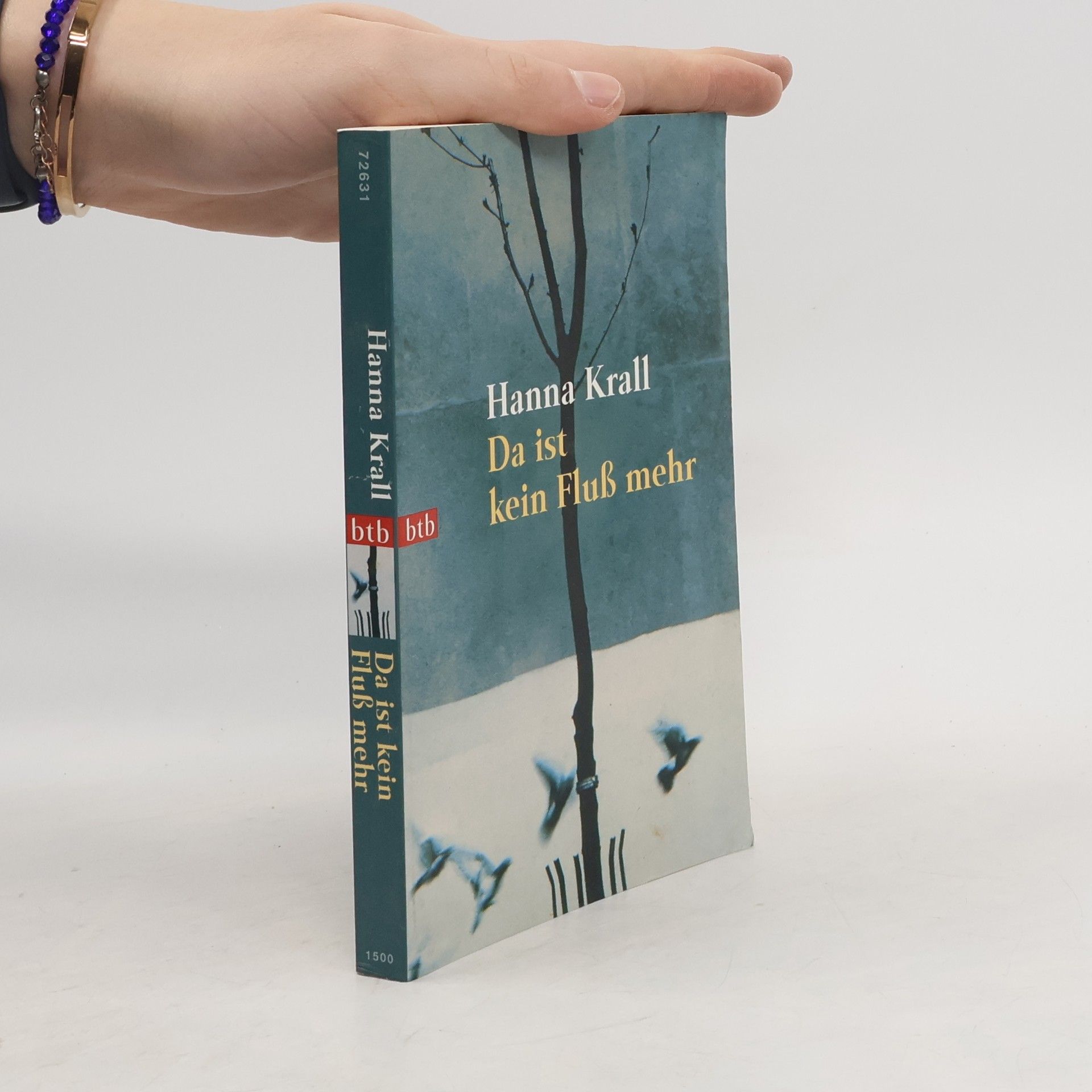 Da ist kein Fluß mehr