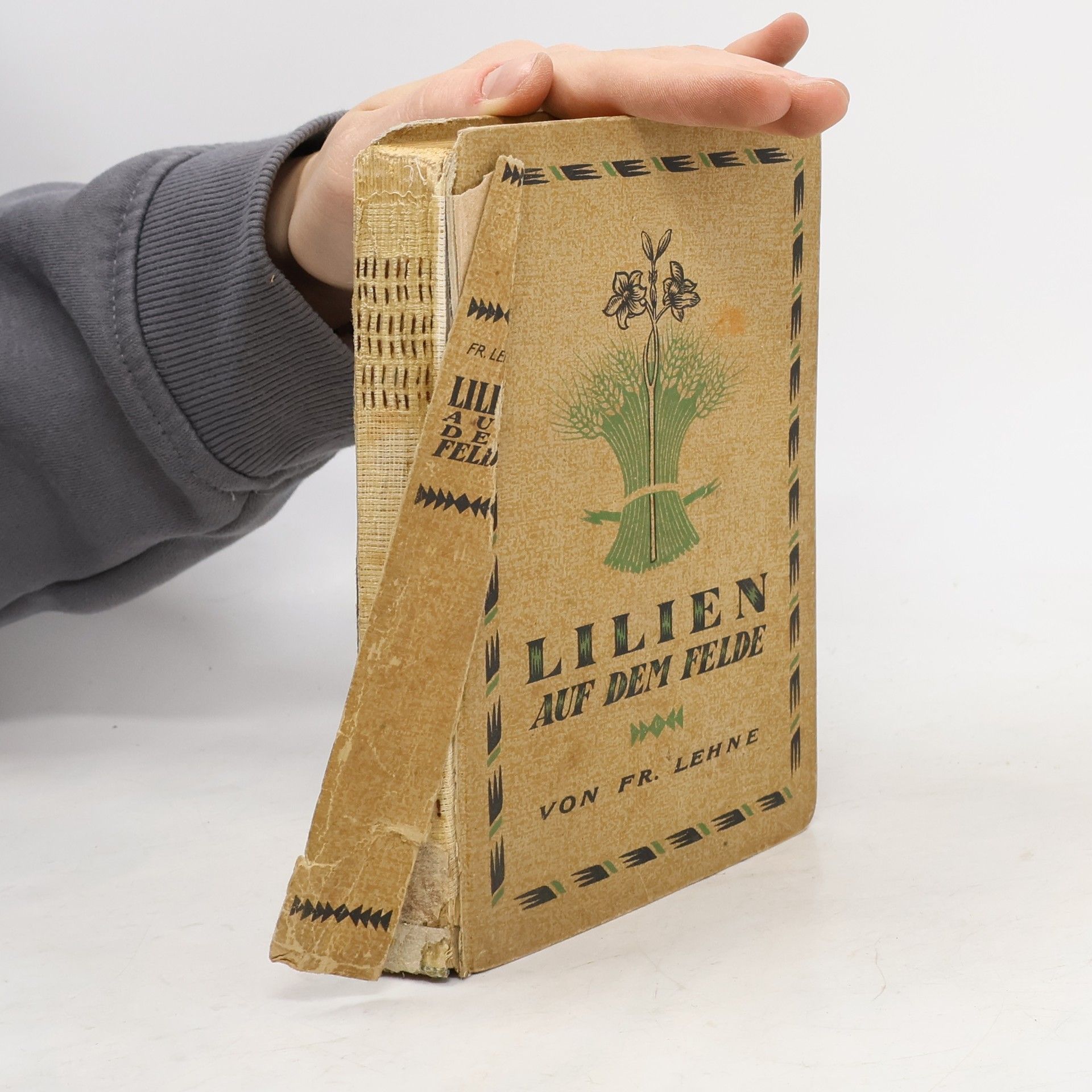 Lilien auf dem Felde