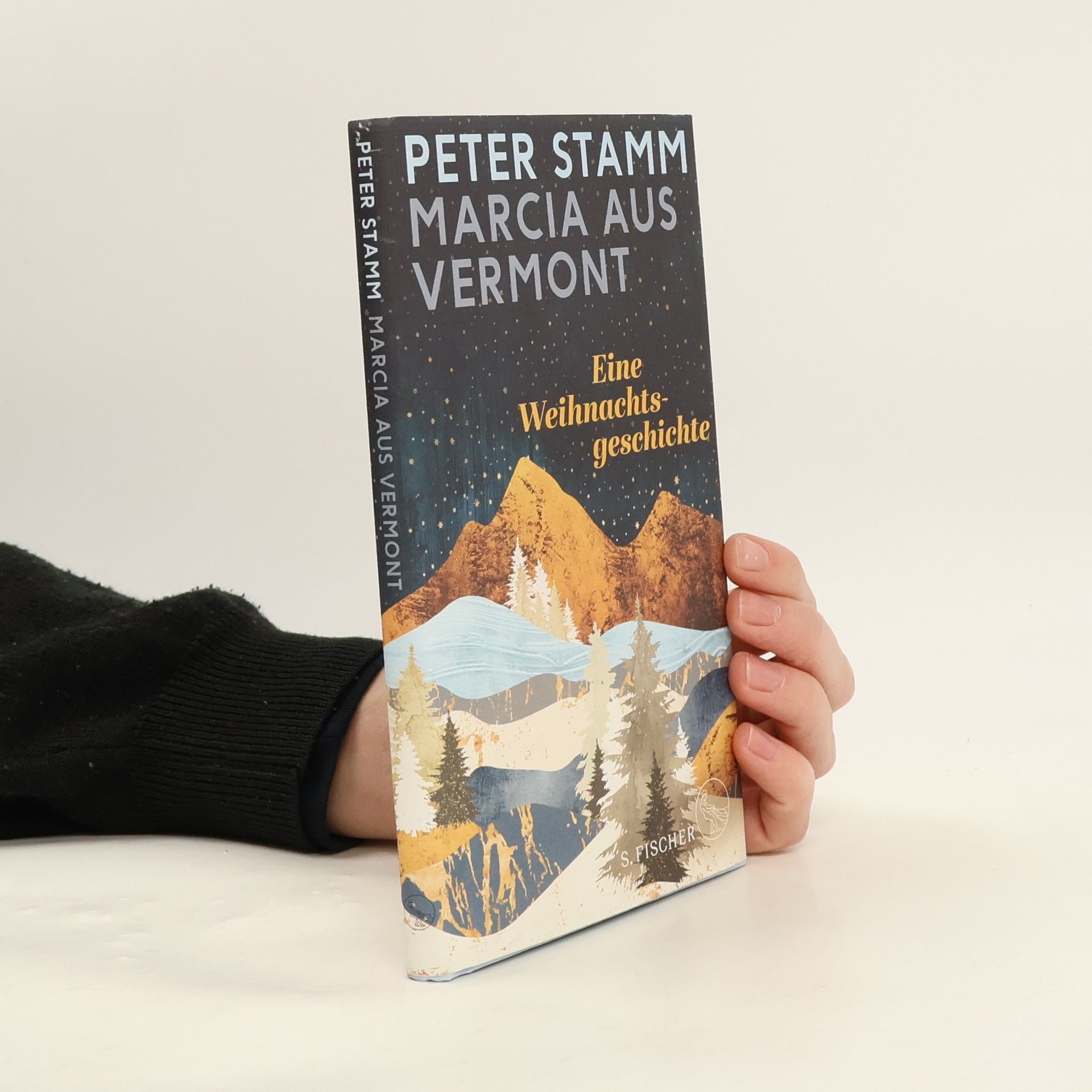 Peter Stamm Marcia aus Vermont