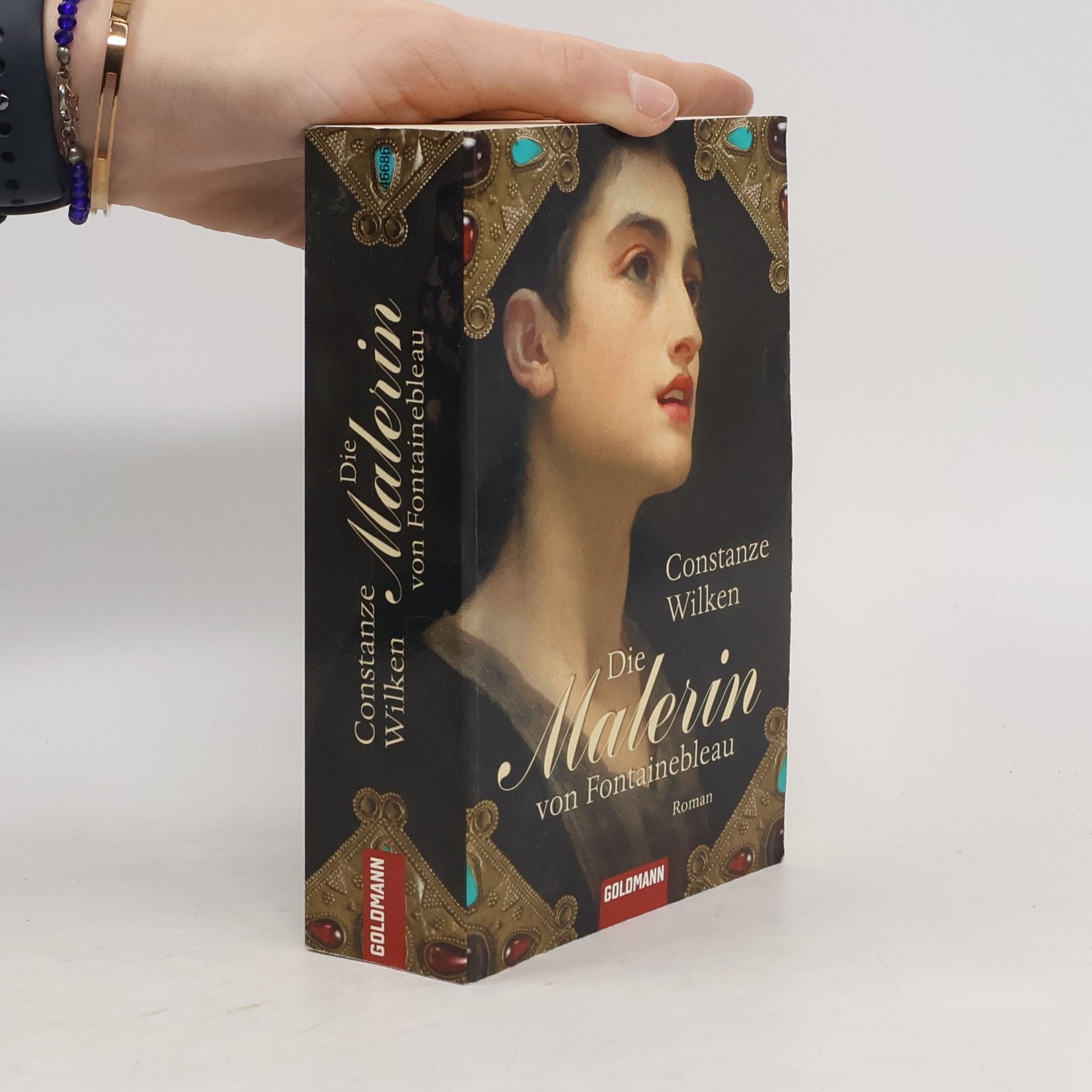 Constanze Wilken Die Malerin von Fontainebleau