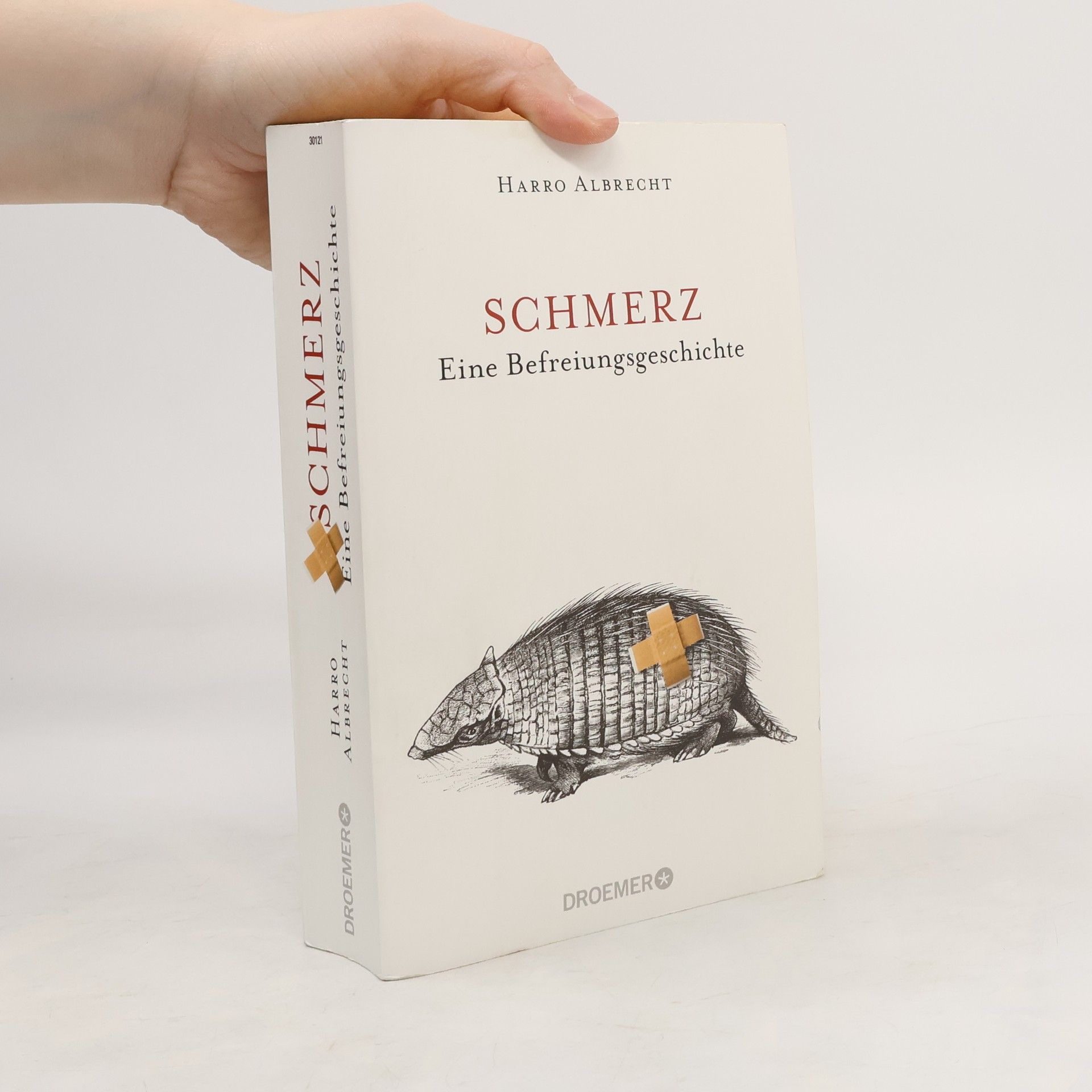 Harro Albrecht Schmerz