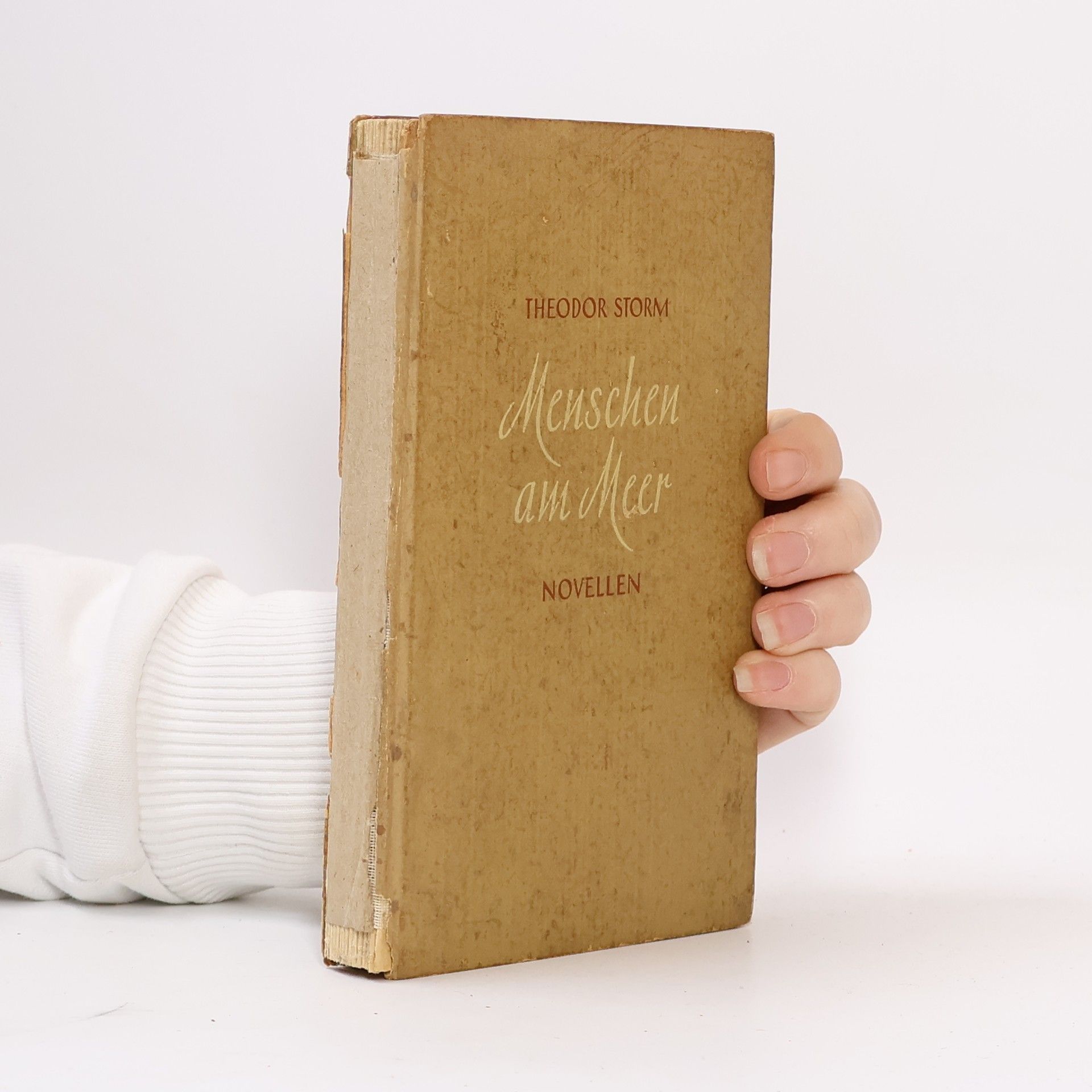 Theodor Storm Menschen am Meer