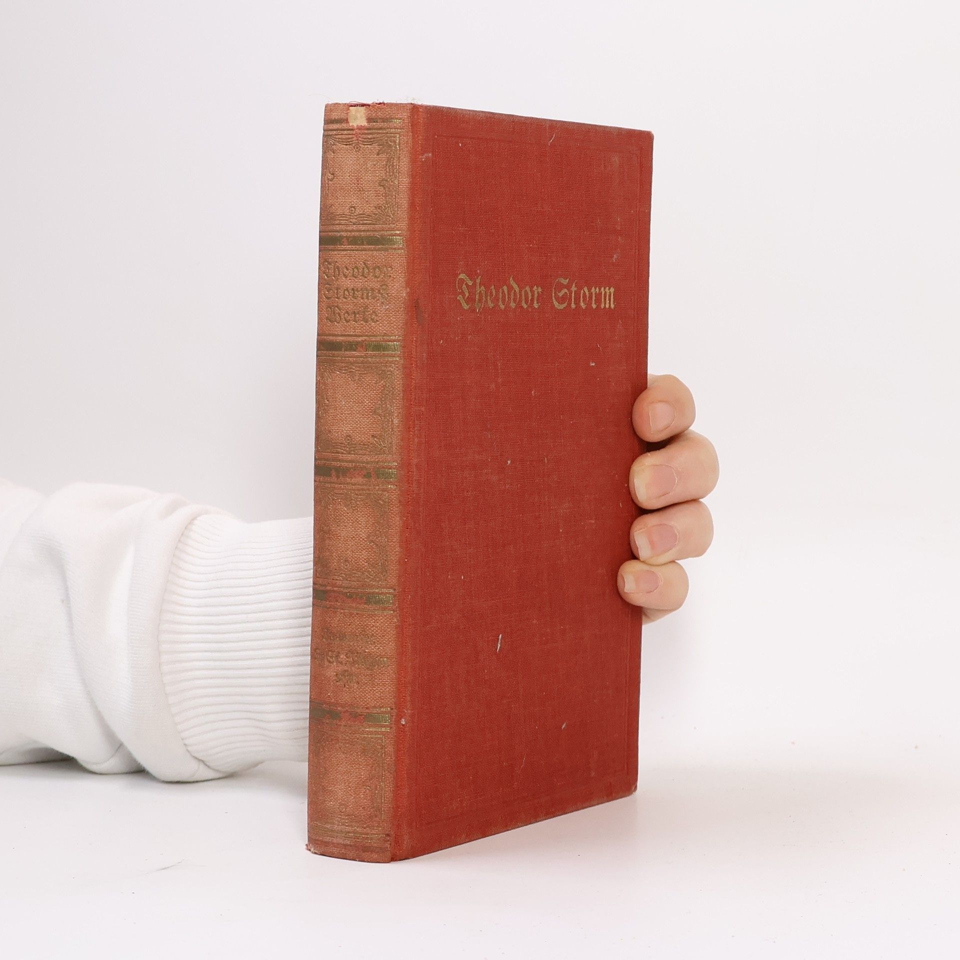 Theodor Storm Theodor Storms Werke I