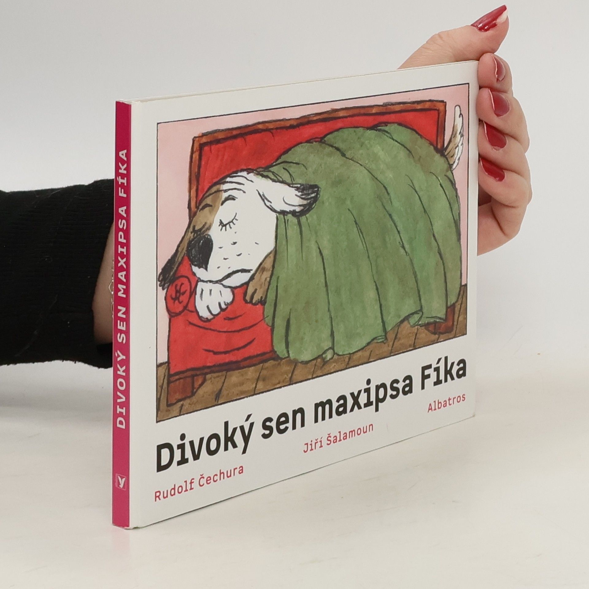 Divoký sen Maxipsa Fíka