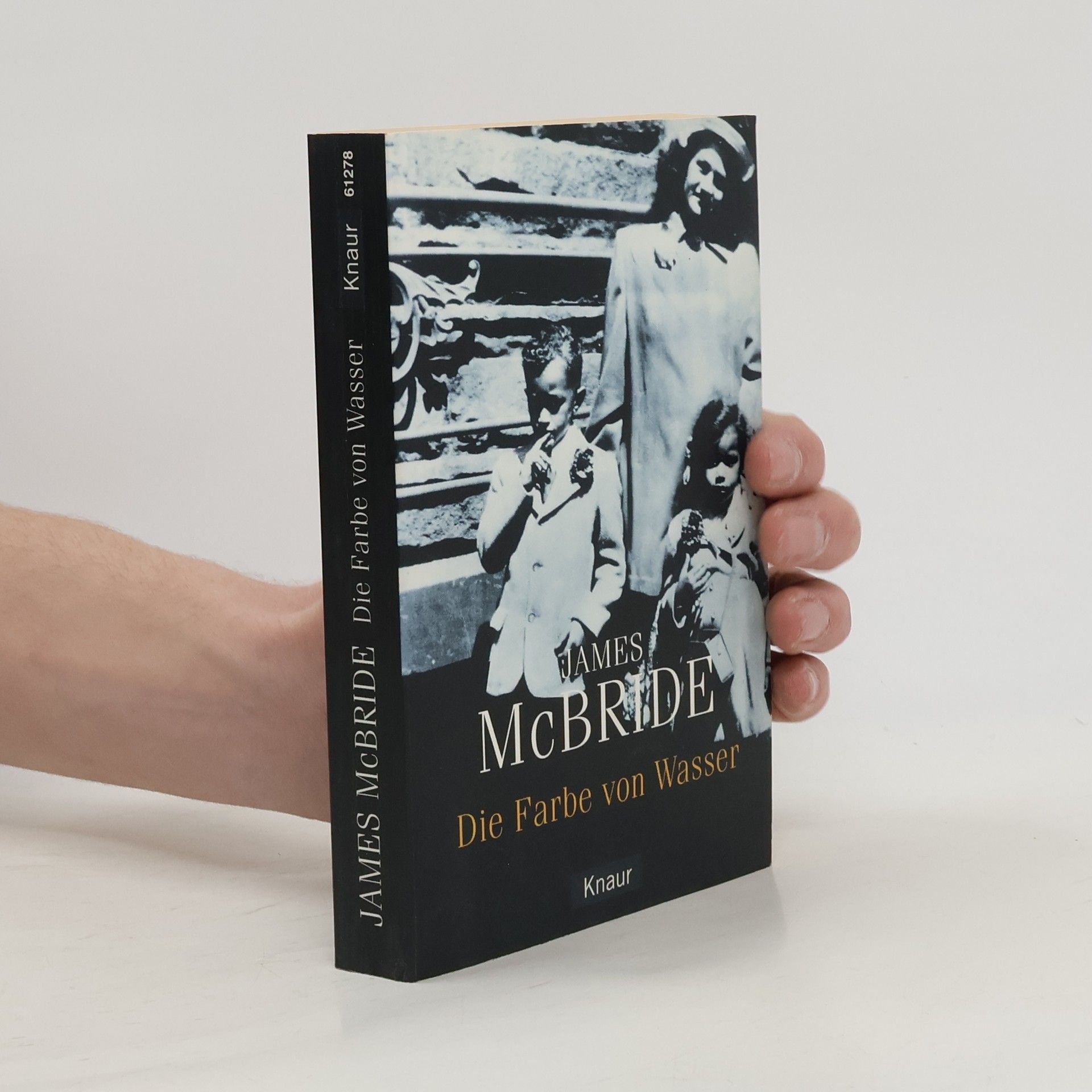 James McBride Die Farbe von Wasser