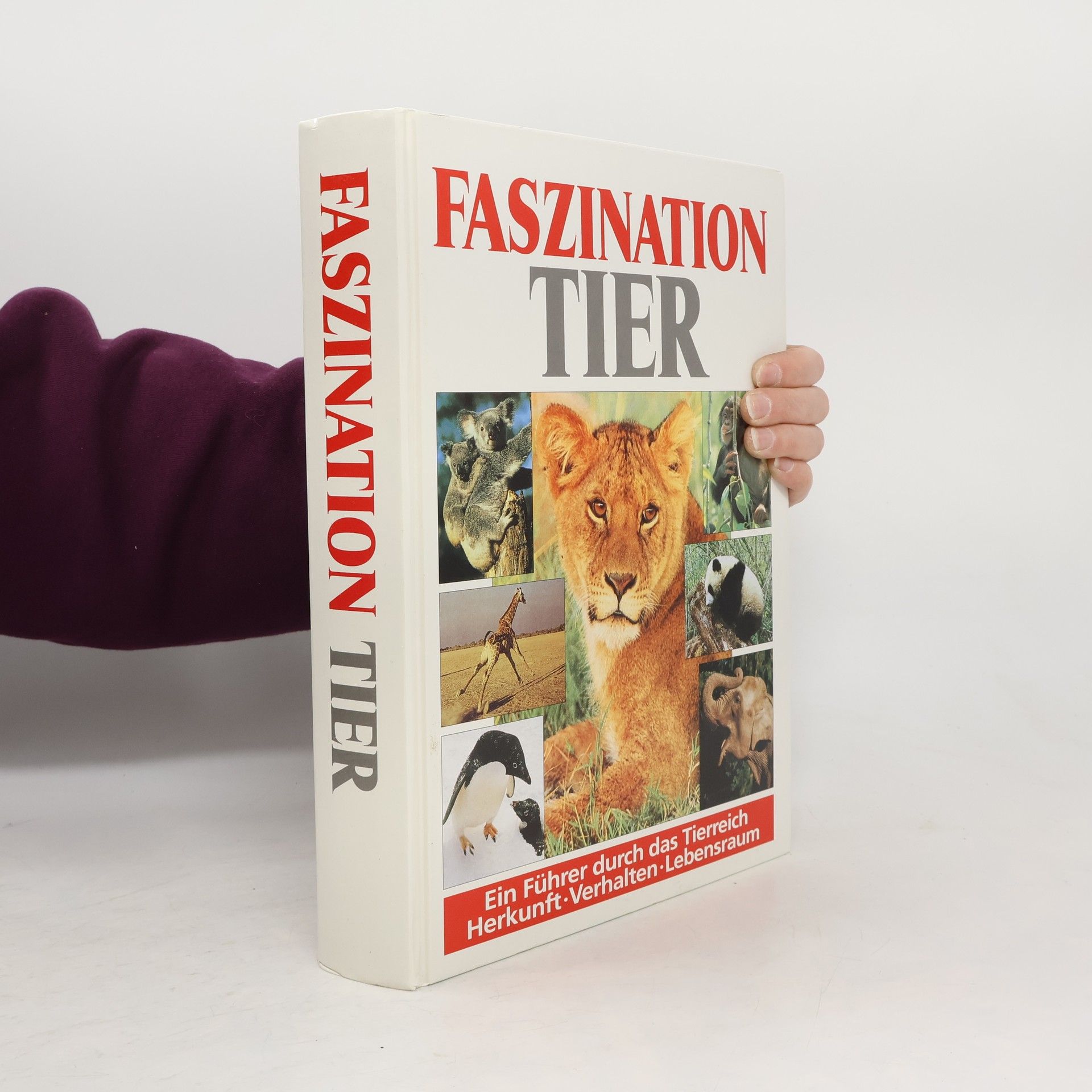 Autores varios Faszination Tier