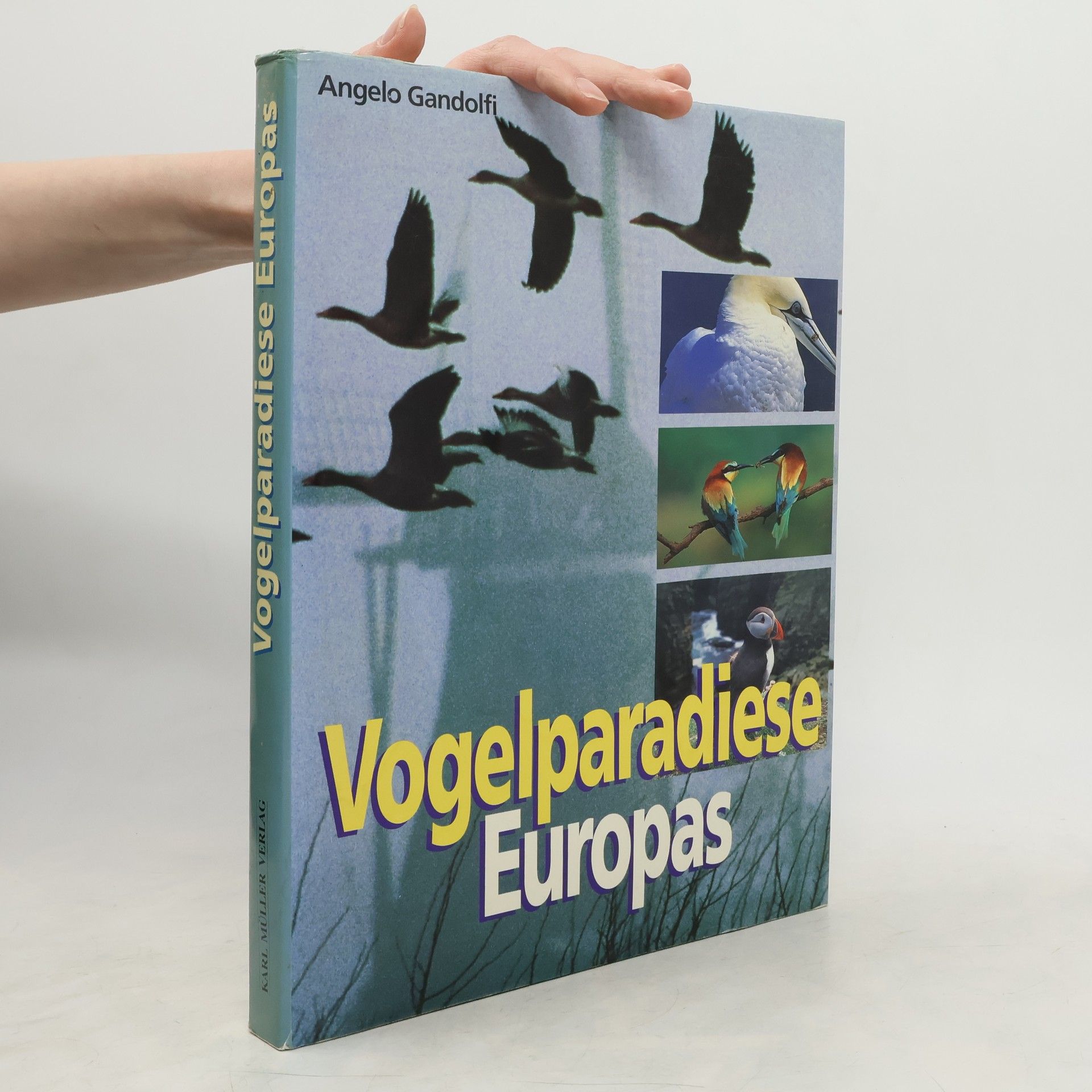 Angelo Gandolfi Vogelparadiese Europas