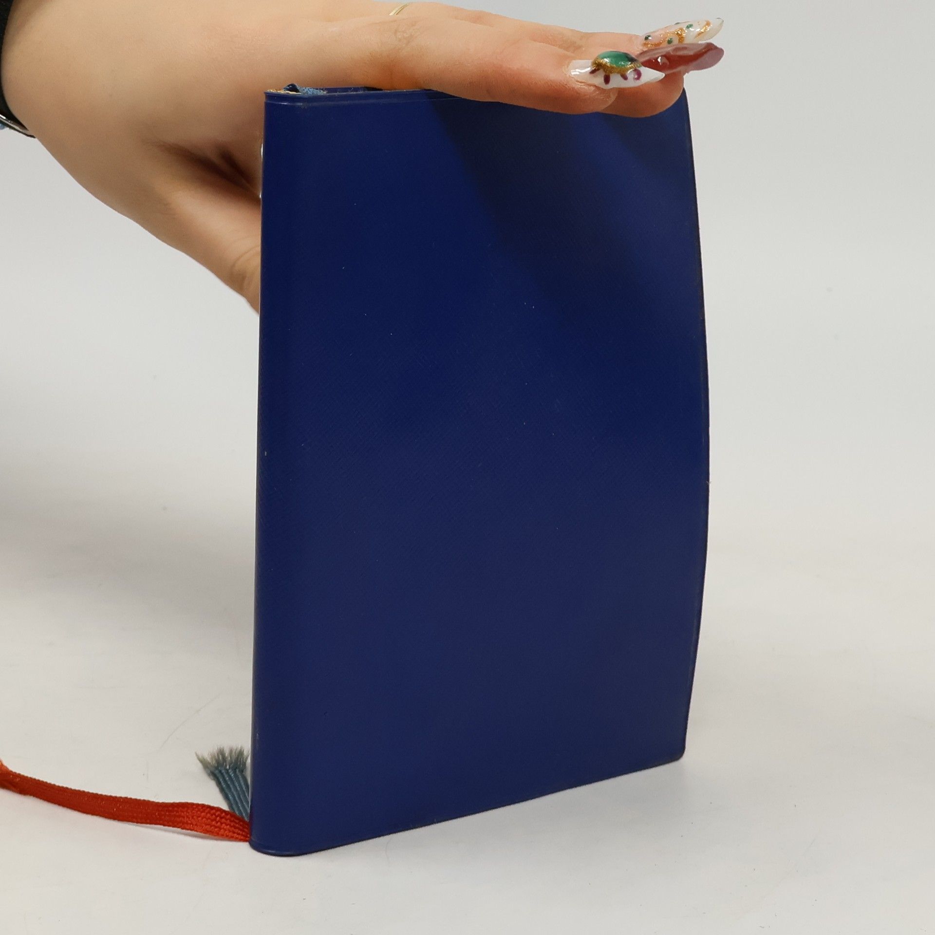 Albert Ohlmeyer Reichtum der Psalmen 1