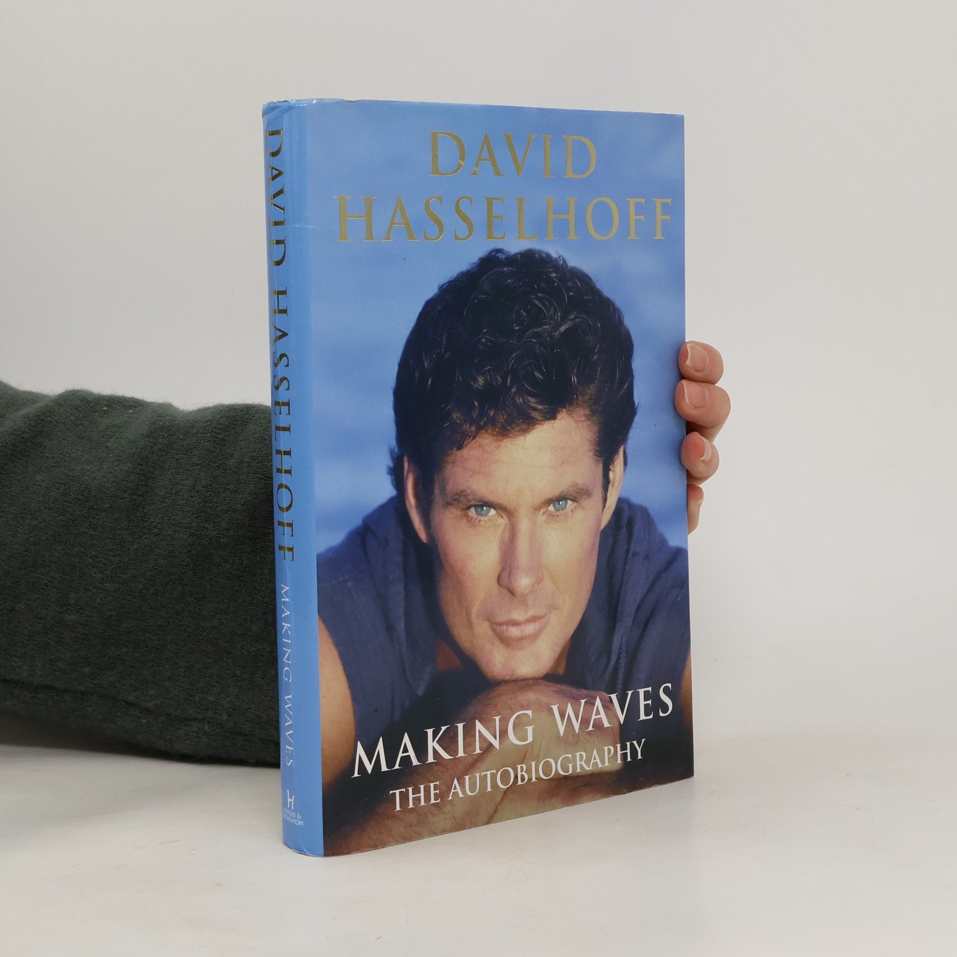 David Hasselhoff Making Waves