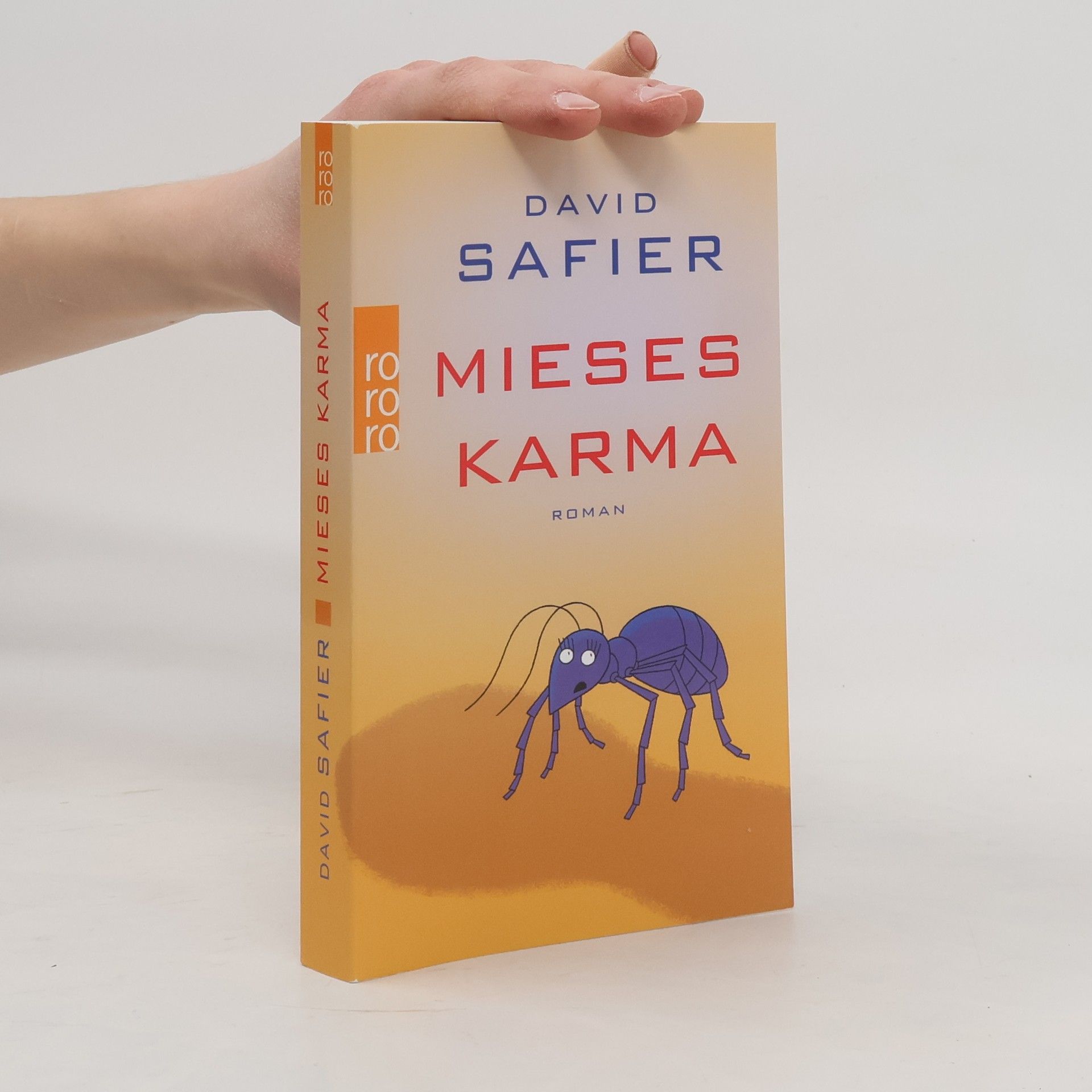 David Safier Mieses Karma